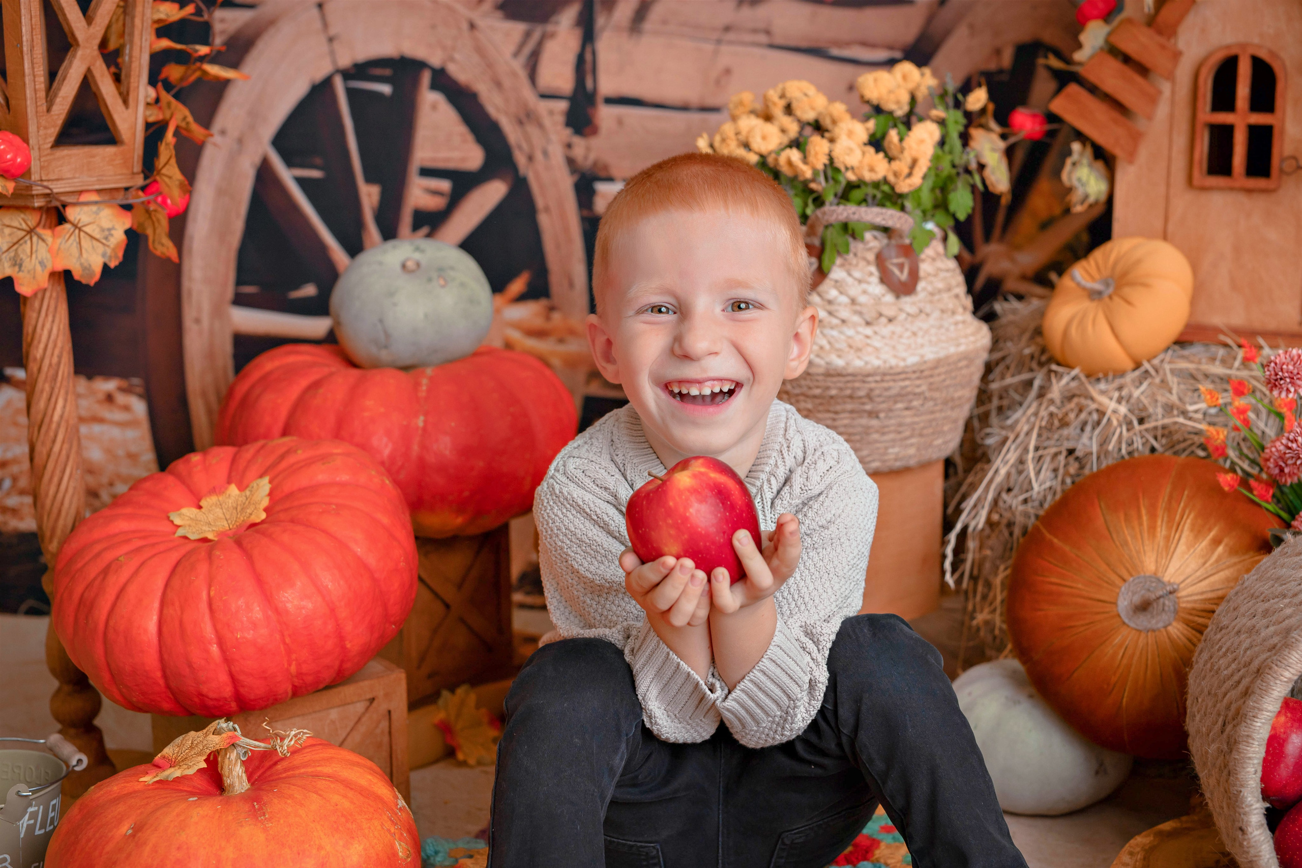 Тыквы. Фотограф Болотова Иветта