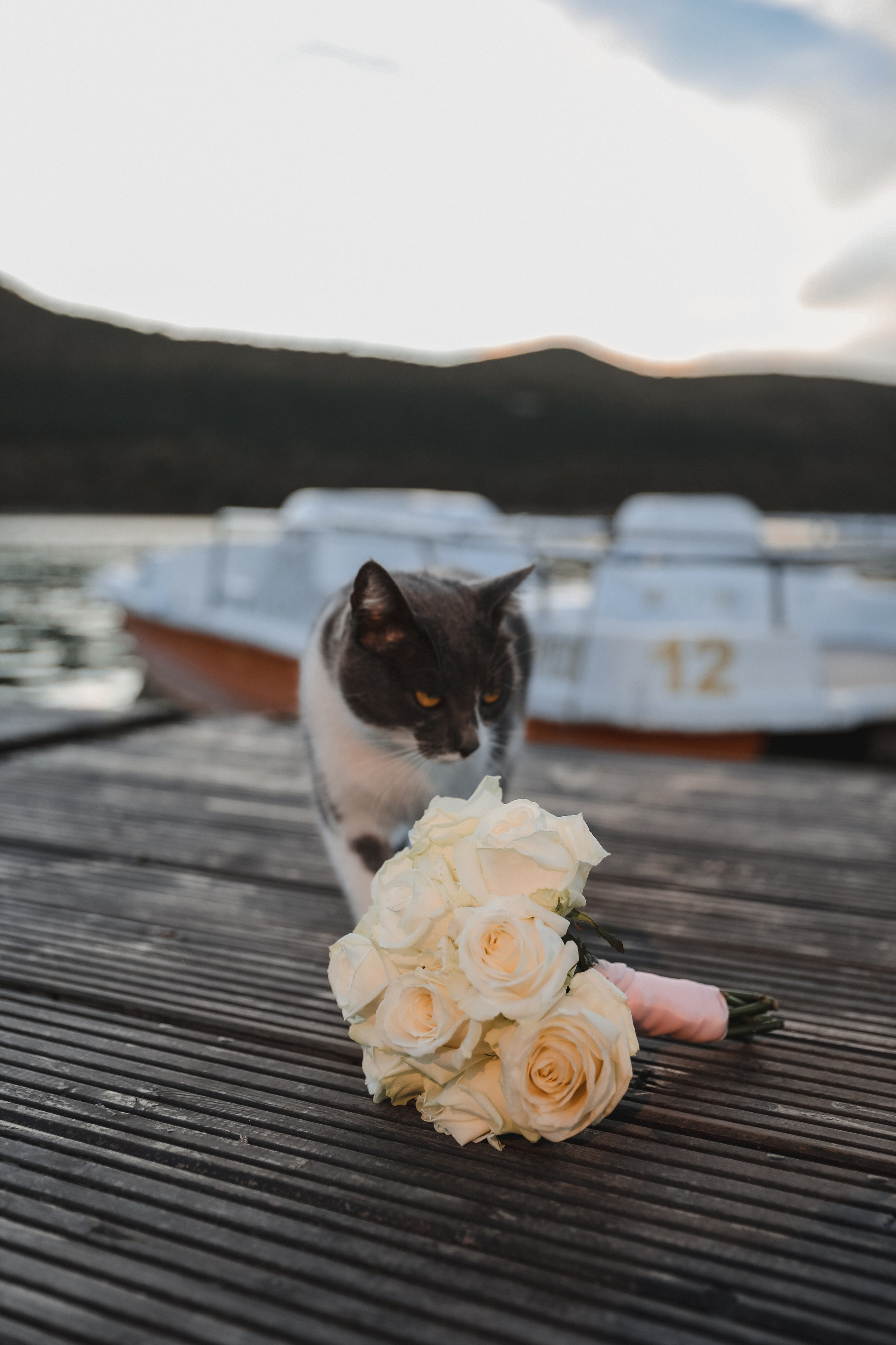 ЛЮБОВЬ. Photographer Viktoriya Markushina «My world throug»