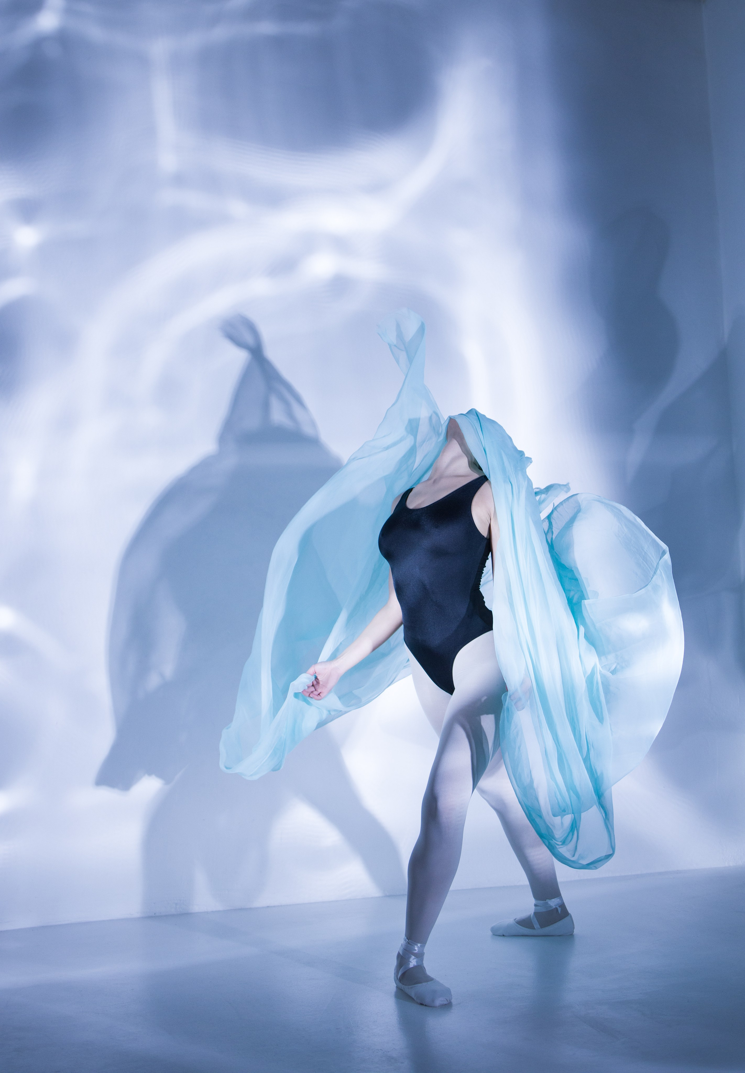 Лилия. Художественная фотография