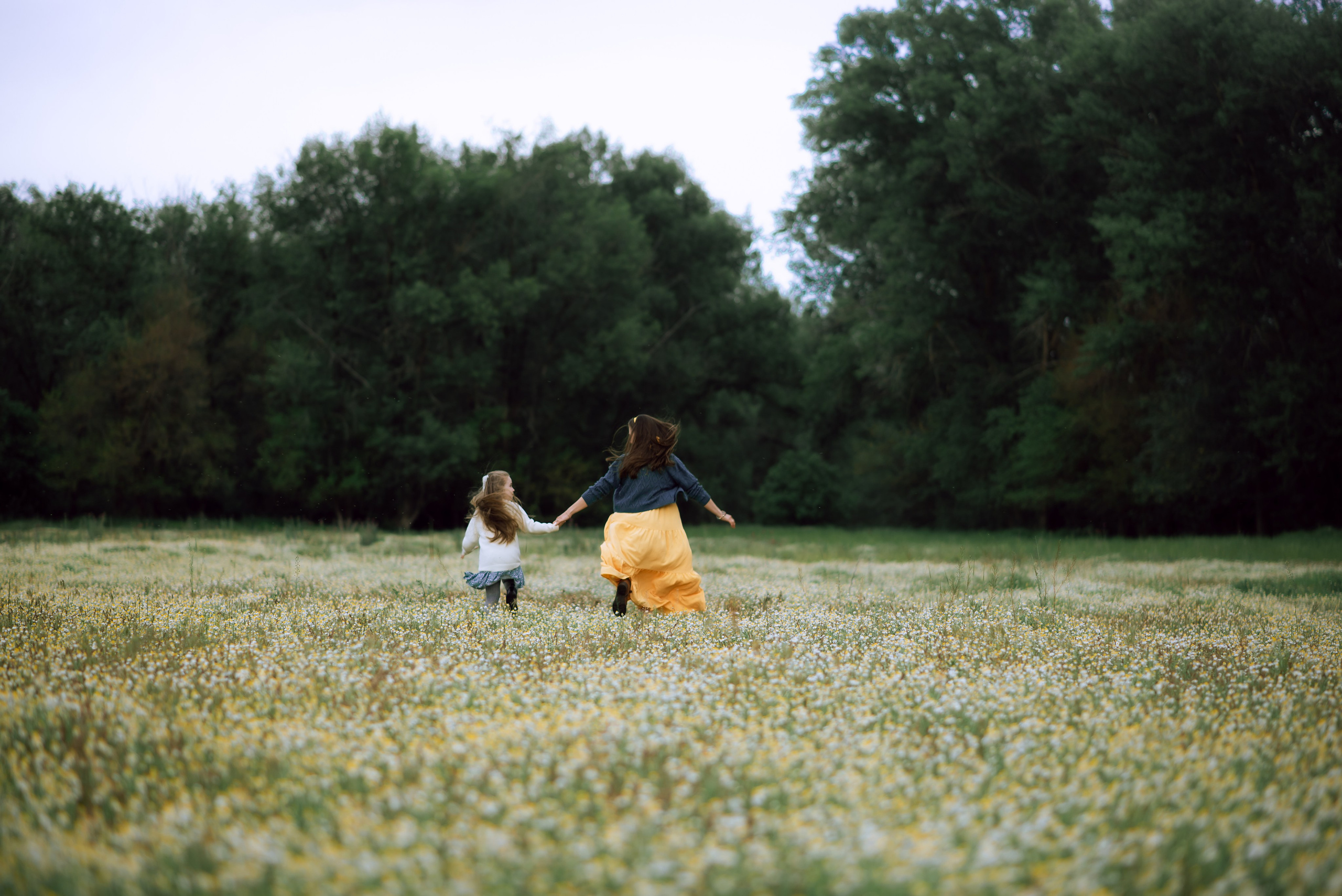 Ромашковое поле, полное любви. Главная