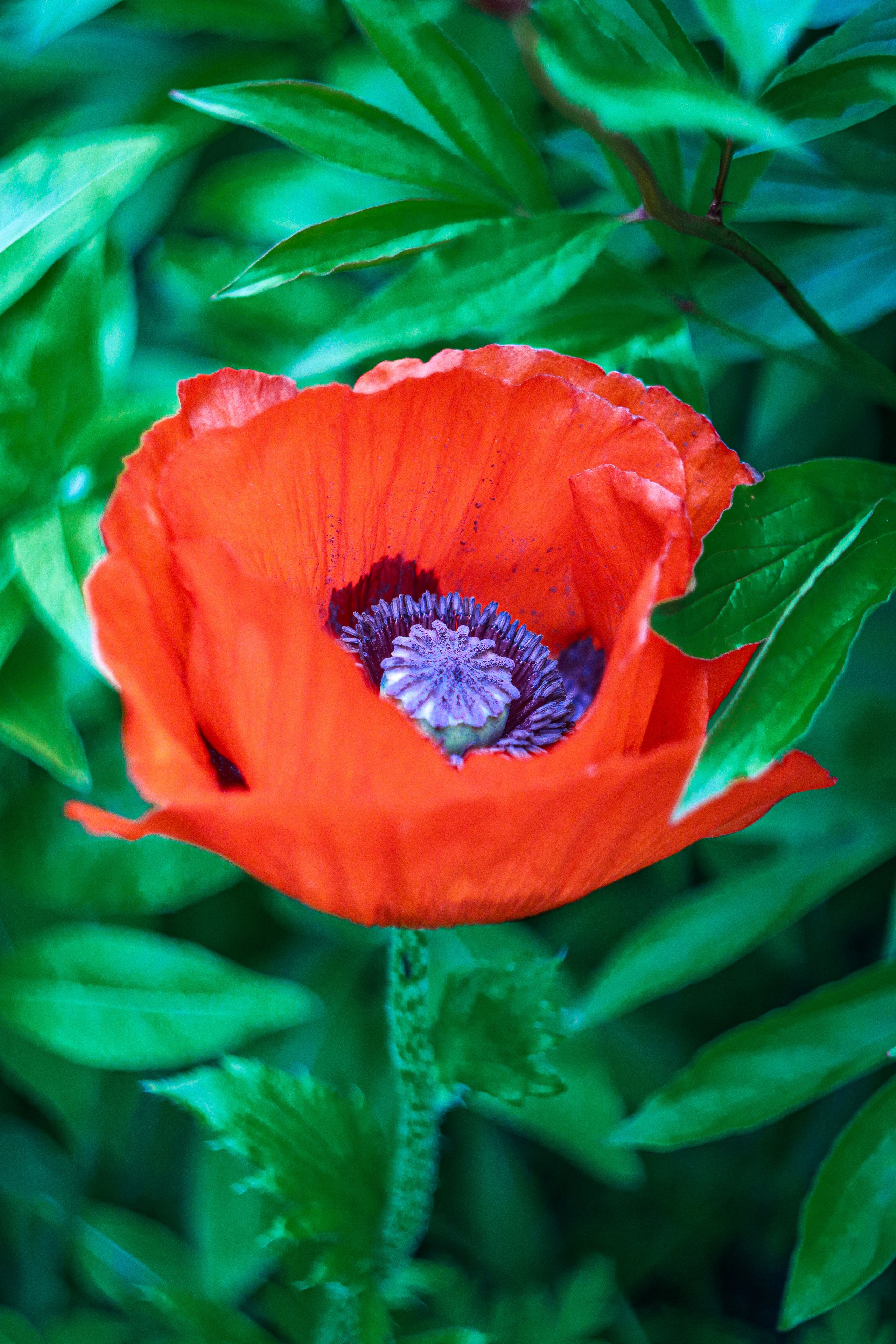 Маяк Тонин на мысе Свободном. Карафуто. Фотограф в Южно-Сахалинске Гусаков Евгений