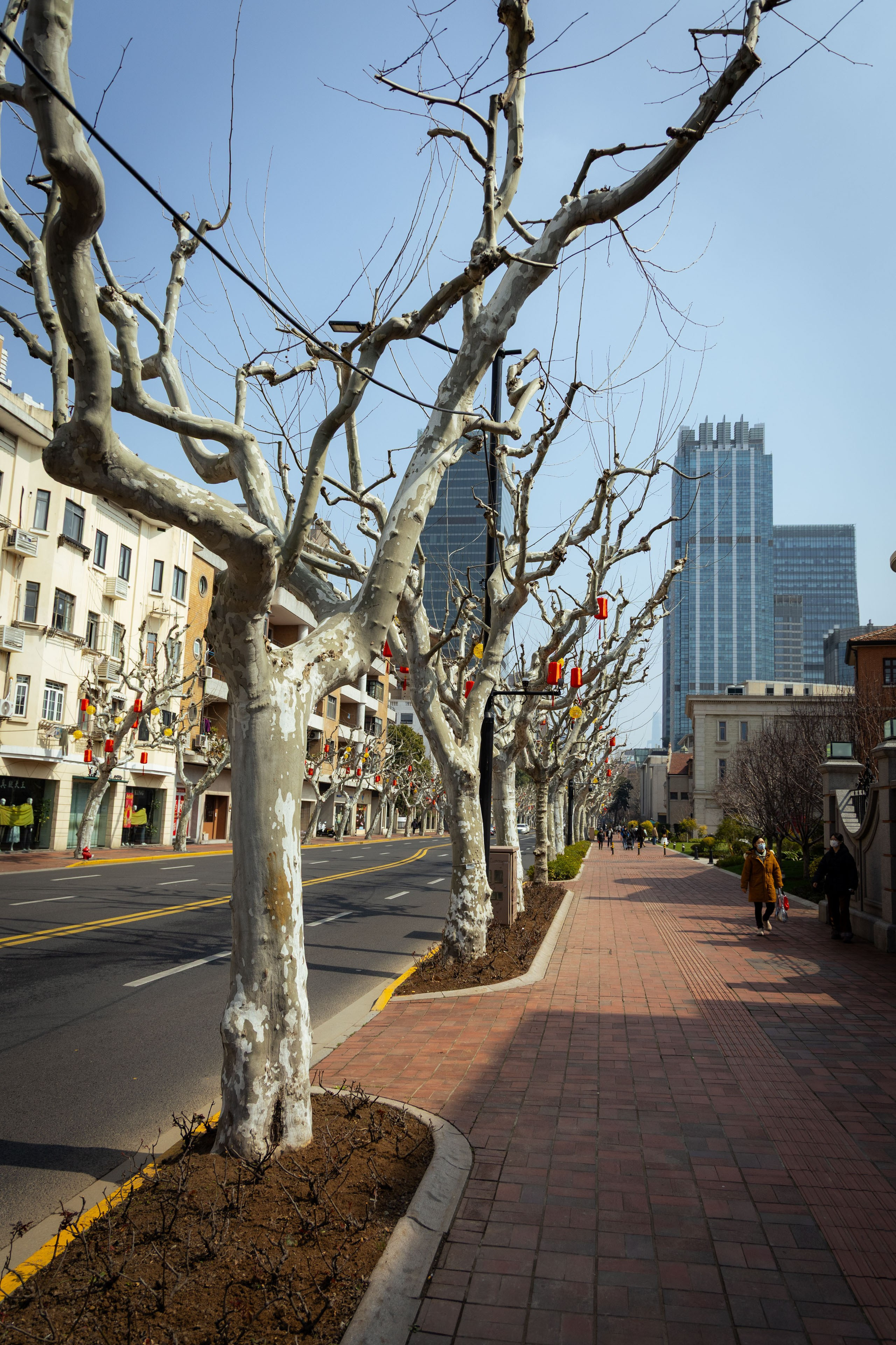 Шанхай (март 2026). Фотограф Виноградов Константин