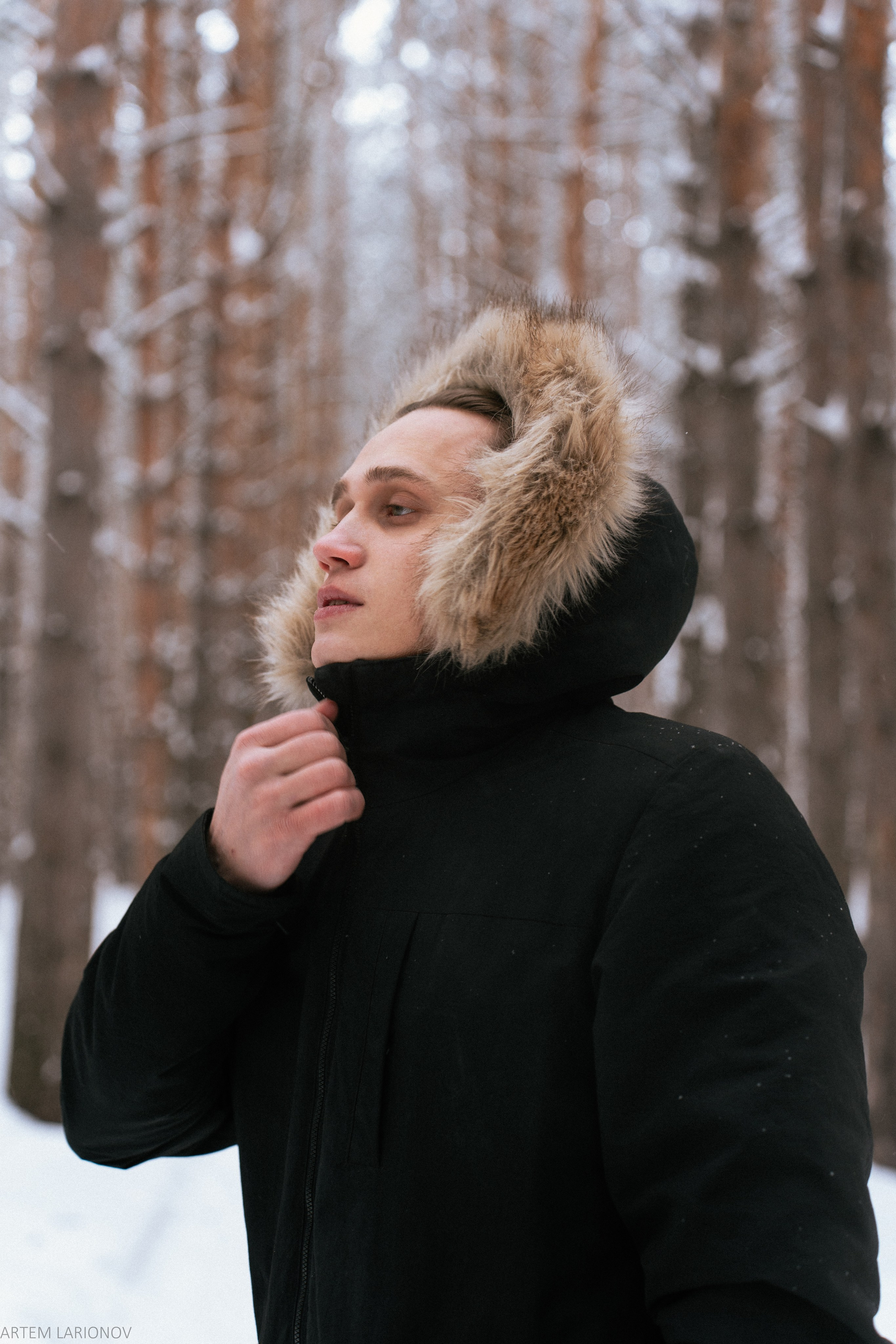 Снежный лес. Фотограф Артем Ларионов