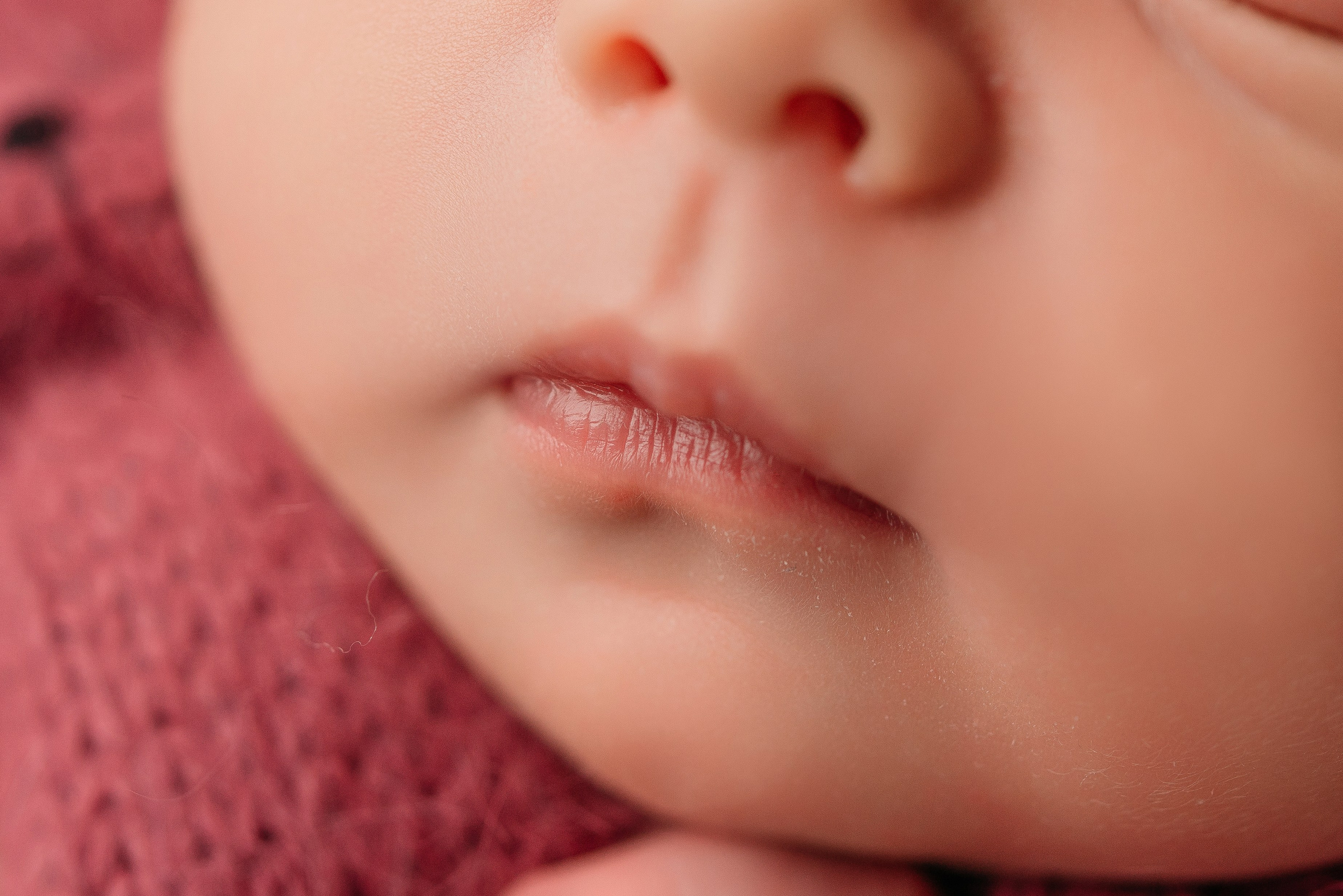 Аделина. Фотограф новорожденных Белгород