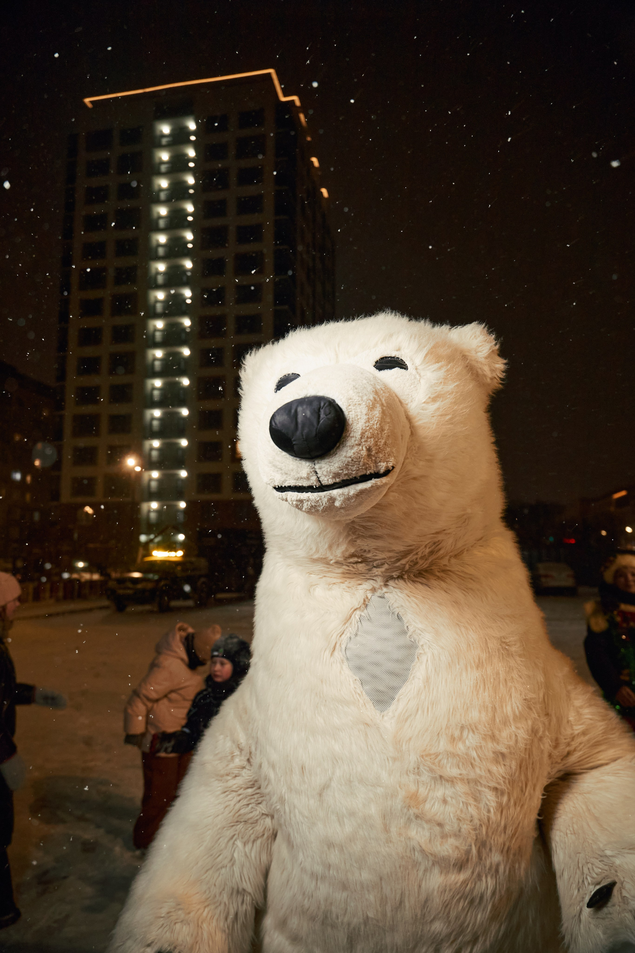 Атлант. Фотограф и видеограф в Кургане Леонид Корнильев