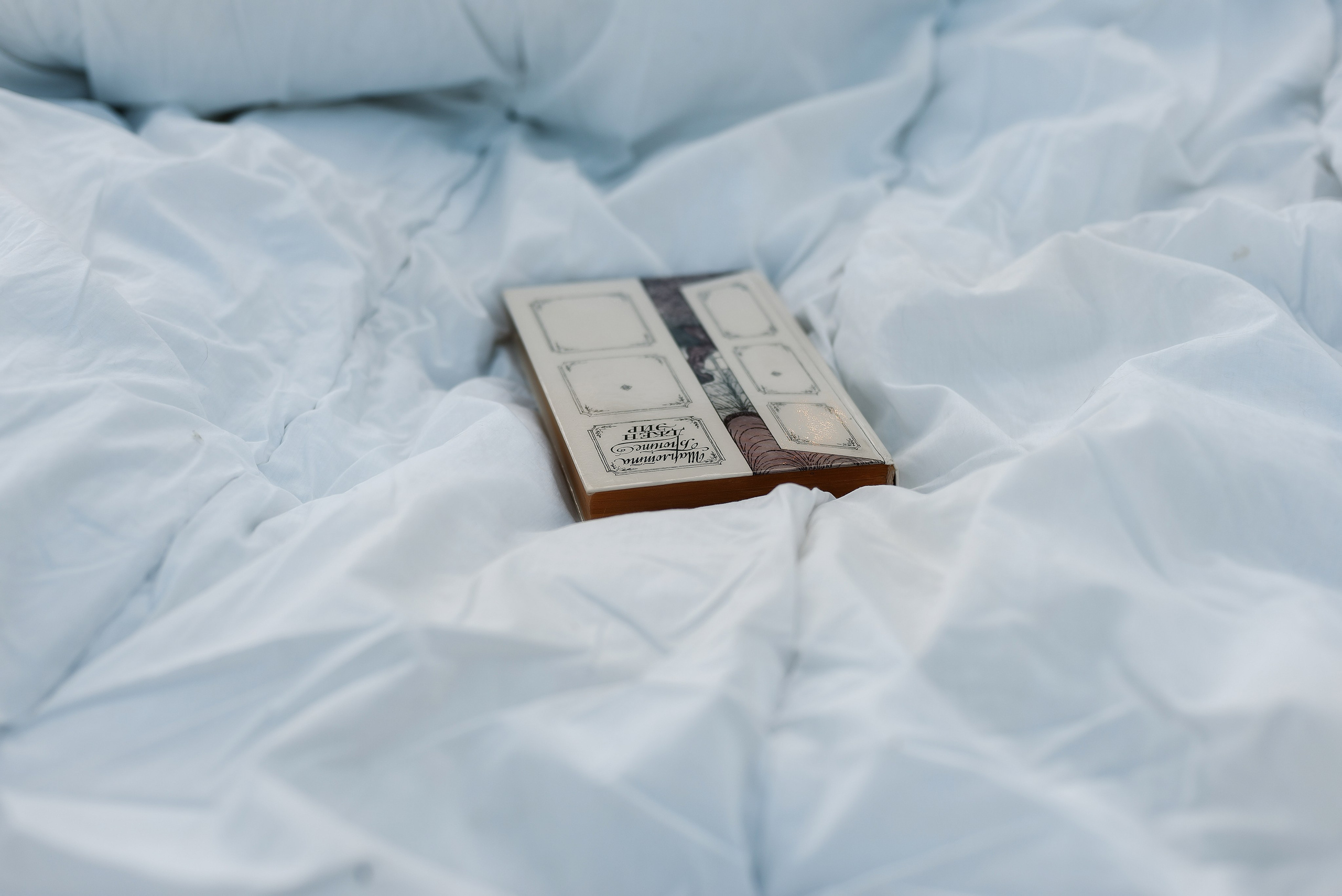 Фотосессия в горячем ключе. Свадебный фотограф в Горячем Ключе Смирнова Дина