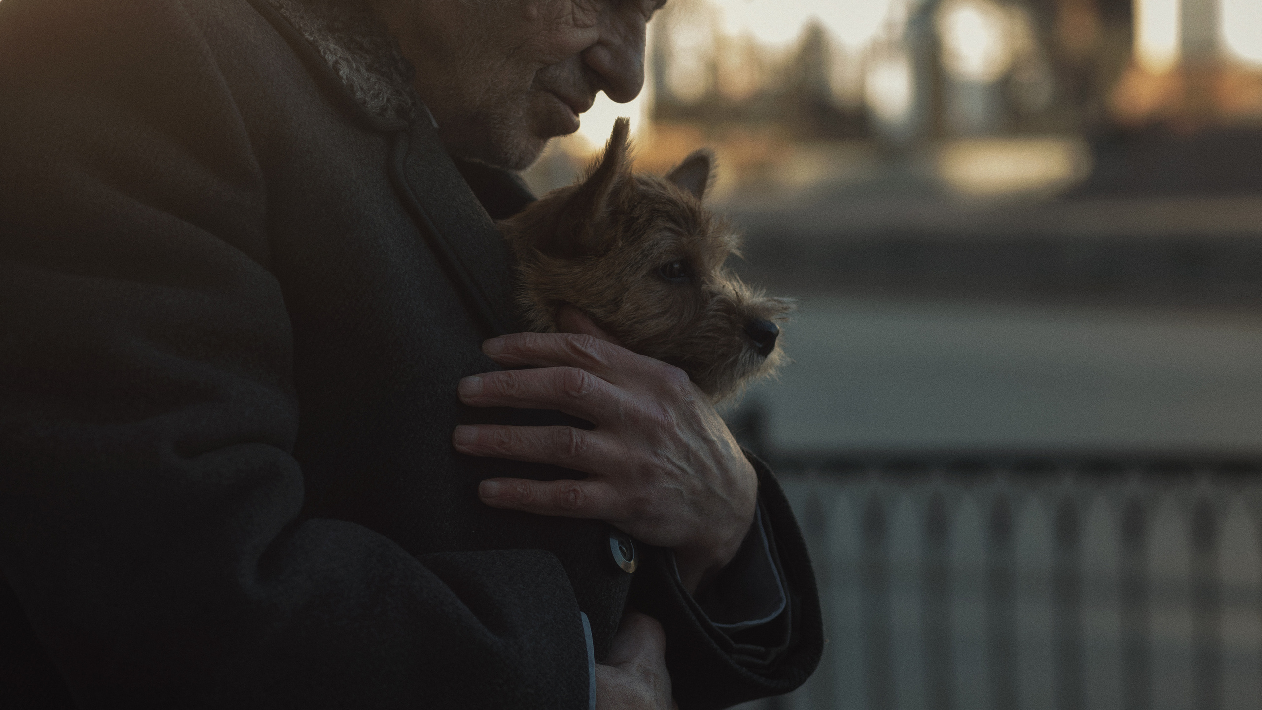 Лучший друг. Фотограф и режиссер Сергей Спирин. Москва