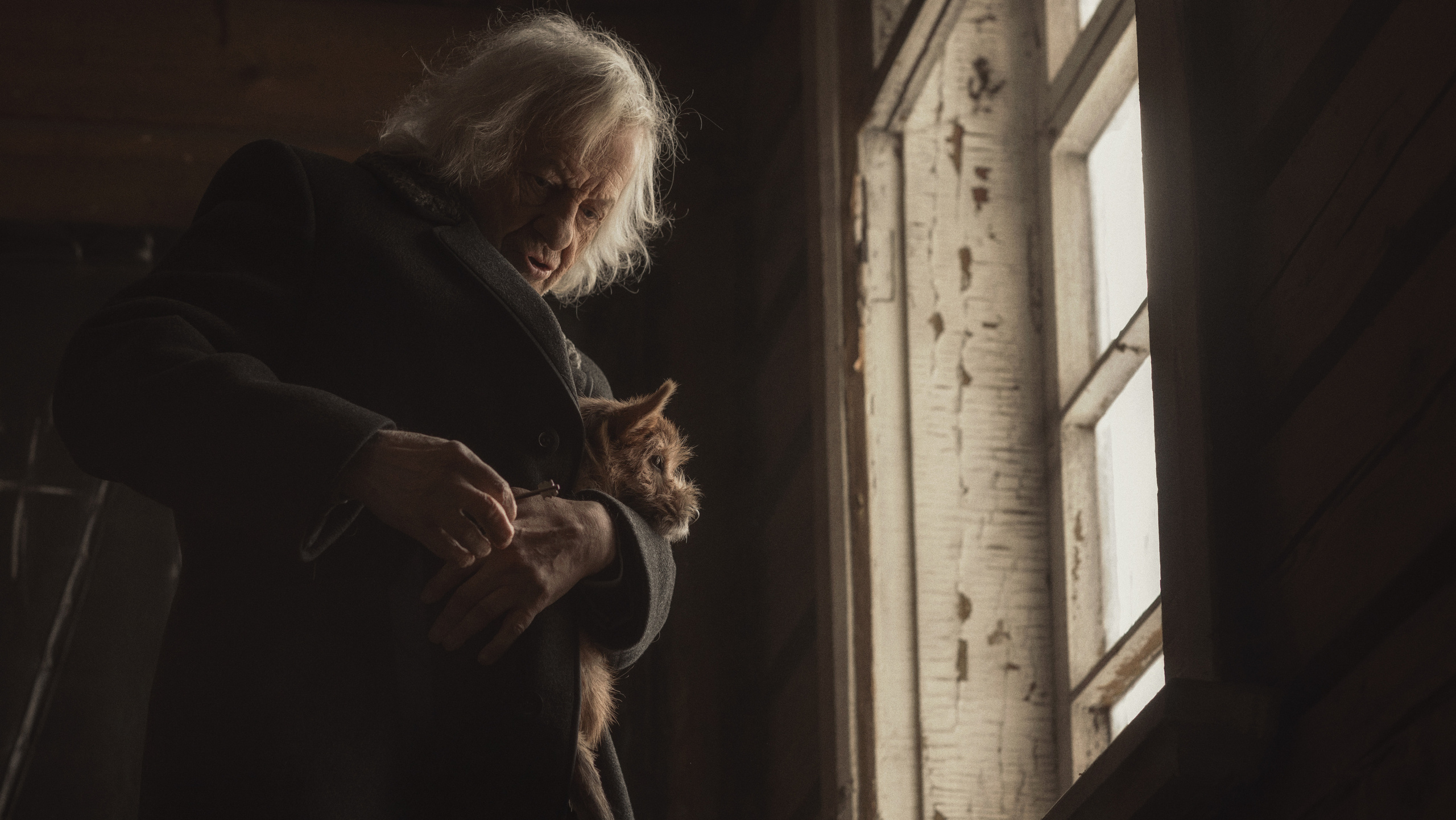 Лучший друг. Фотограф и режиссер Сергей Спирин. Москва