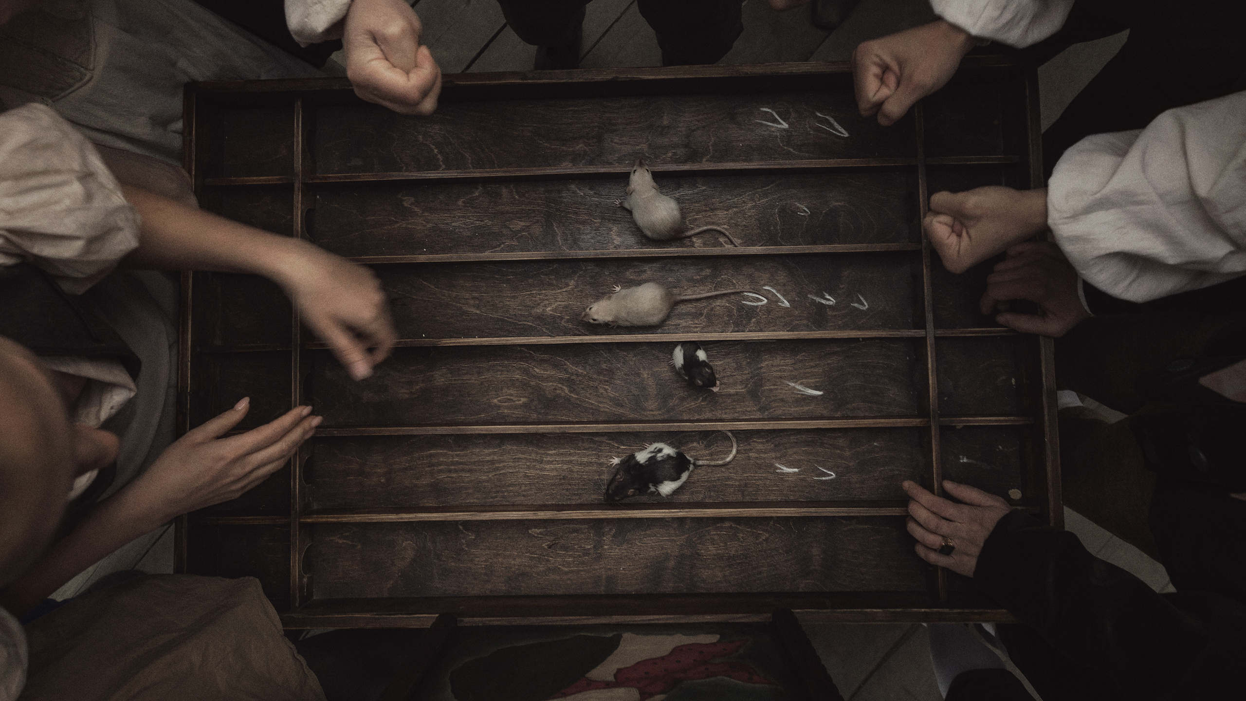 Мышиный город MouseVille. Фотограф и режиссер Сергей Спирин. Москва