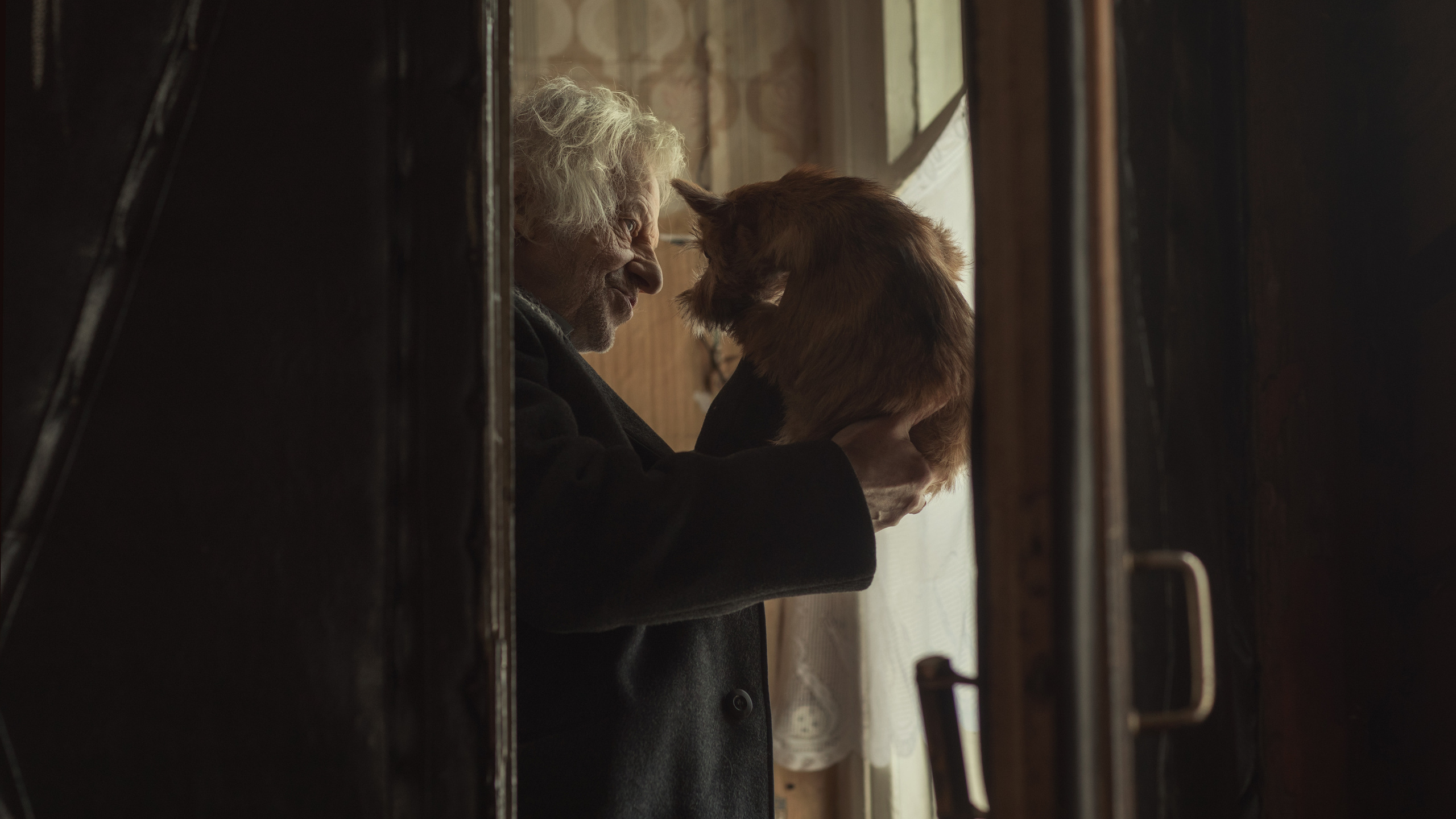 Лучший друг. Фотограф и режиссер Сергей Спирин. Москва