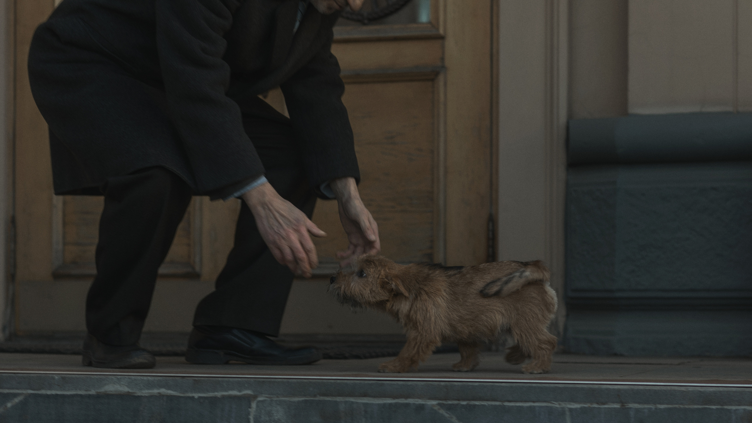 Лучший друг. Фотограф и режиссер Сергей Спирин. Москва