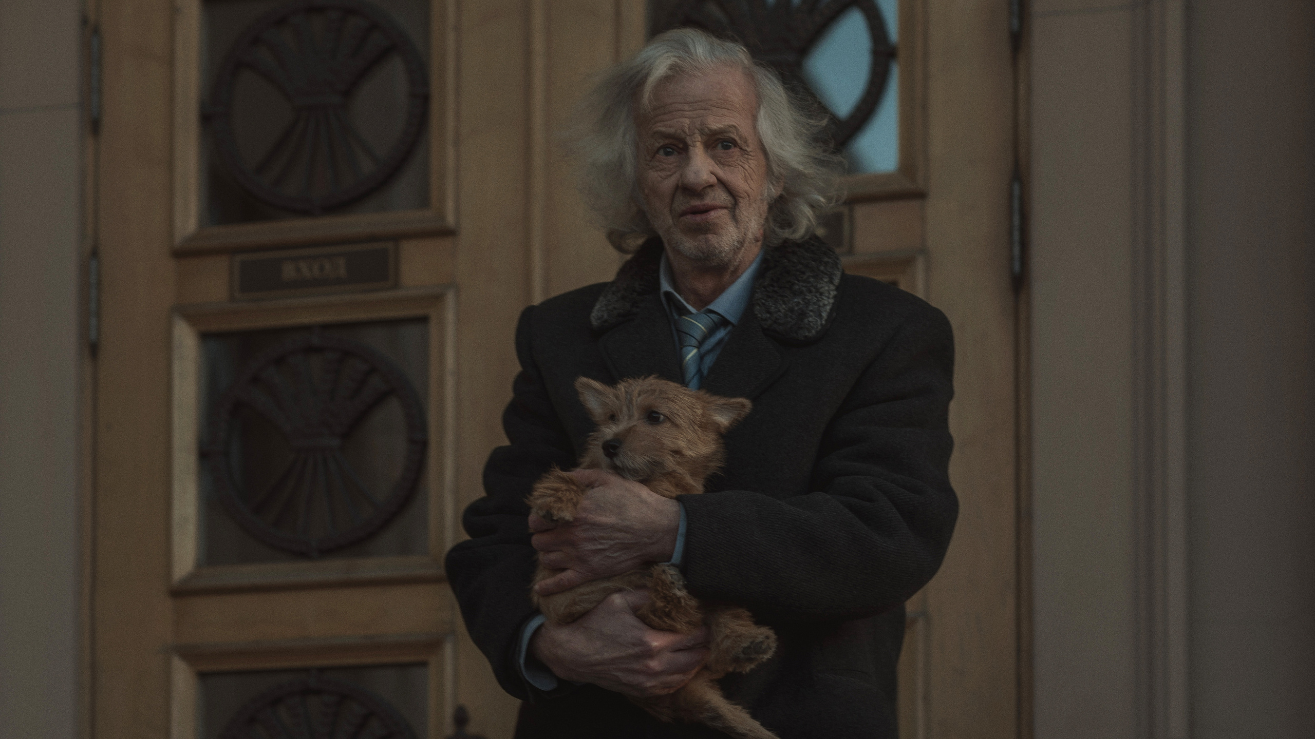 Лучший друг. Фотограф и режиссер Сергей Спирин. Москва