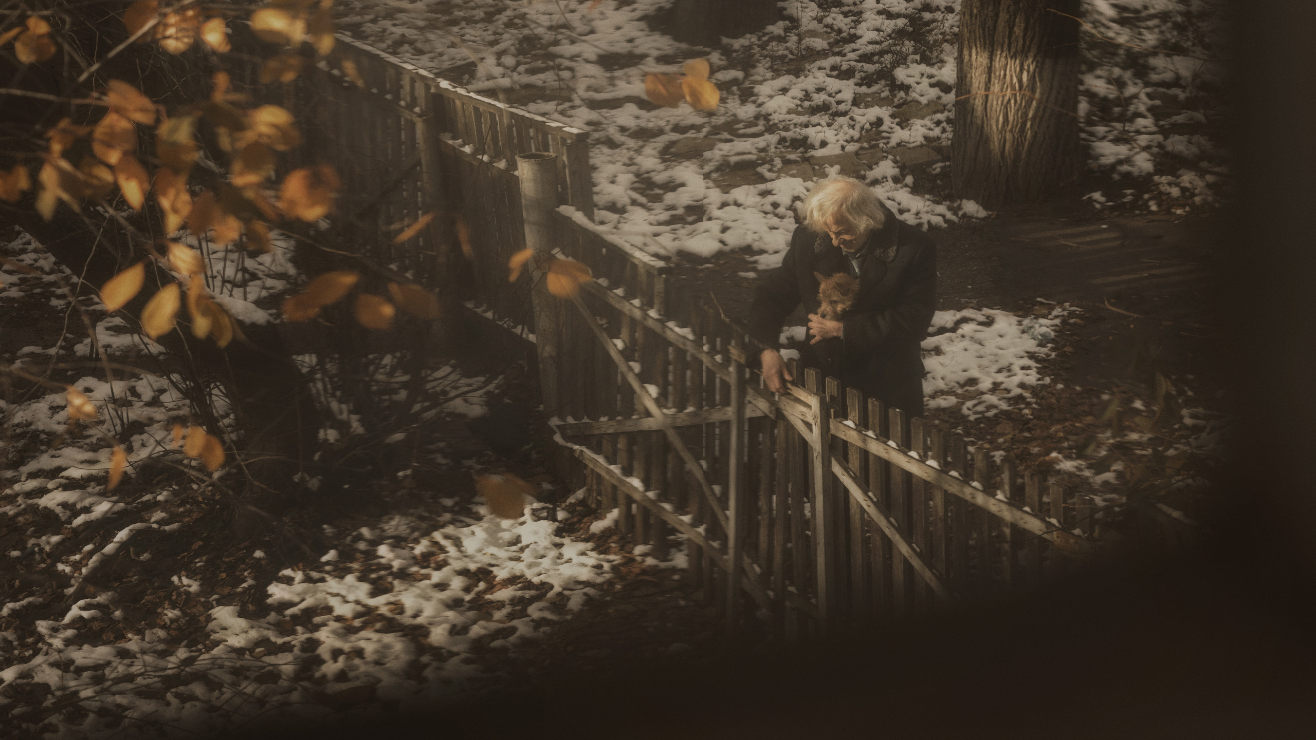 Лучший друг. Фотограф и режиссер Сергей Спирин. Москва