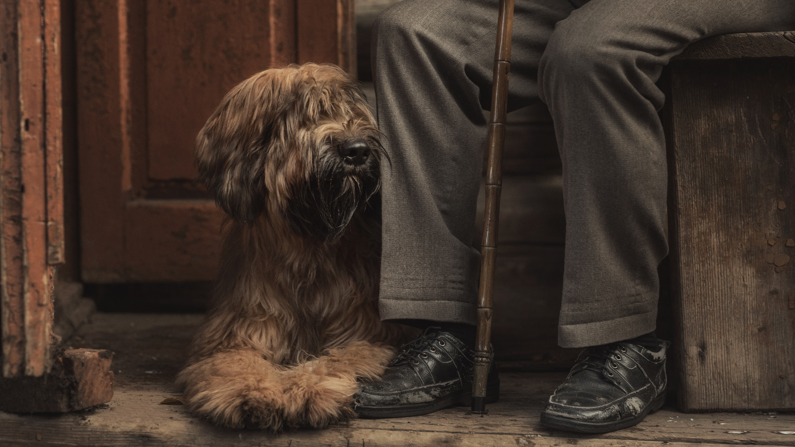 Лучший друг. Фотограф и режиссер Сергей Спирин. Москва