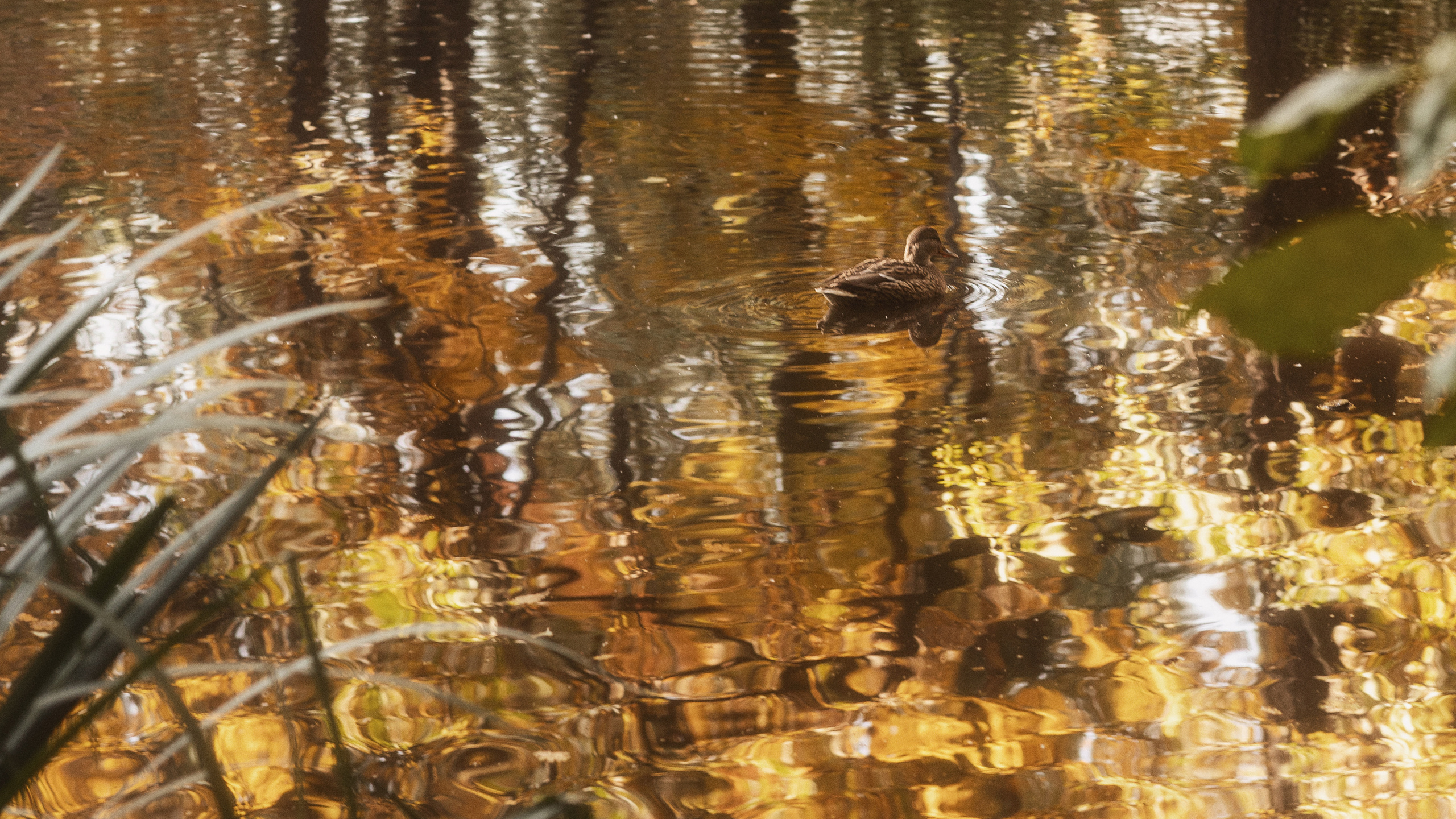 Старый дворник и ребятишки. Фотограф и режиссер Сергей Спирин. Москва