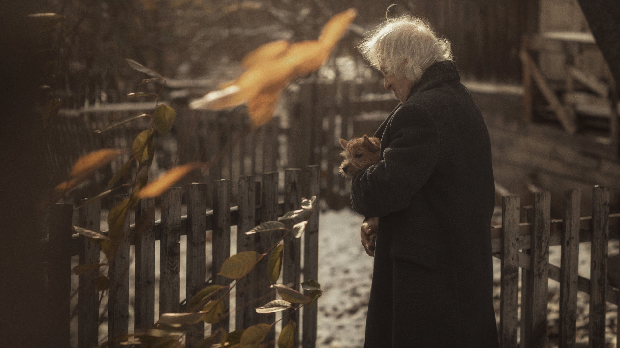 Лучший друг. Фотограф и режиссер Сергей Спирин. Москва