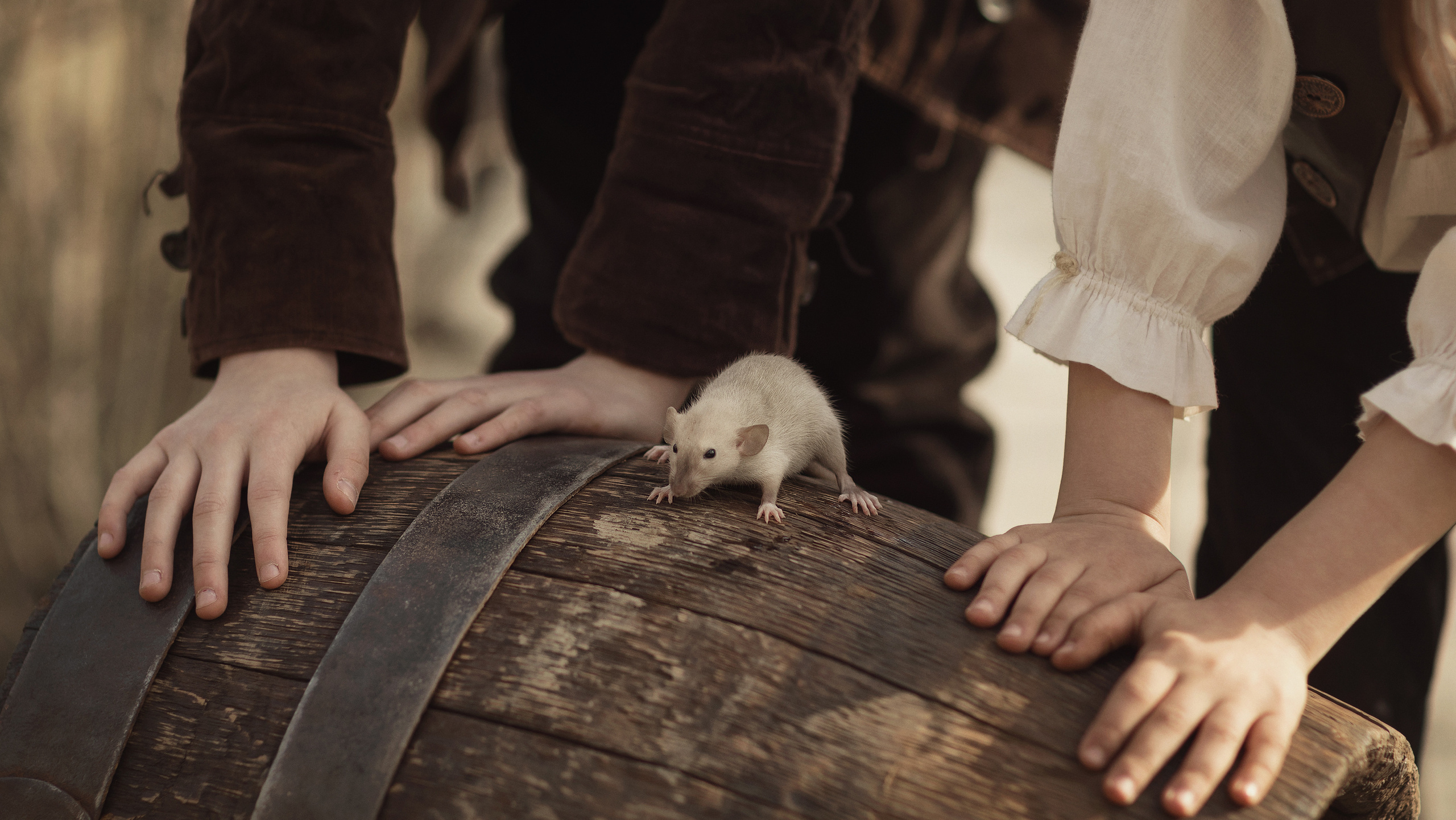 Мышиный город MouseVille. Фотограф и режиссер Сергей Спирин. Москва