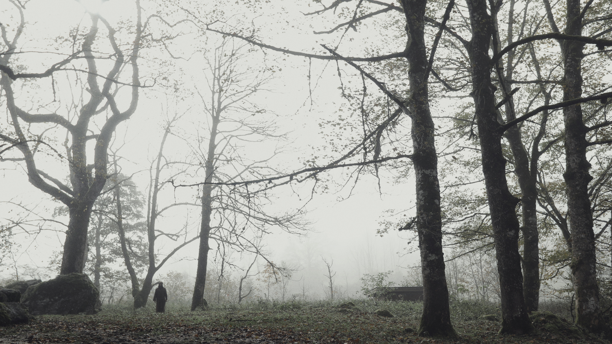 Исток. Фотограф и режиссер Сергей Спирин. Москва