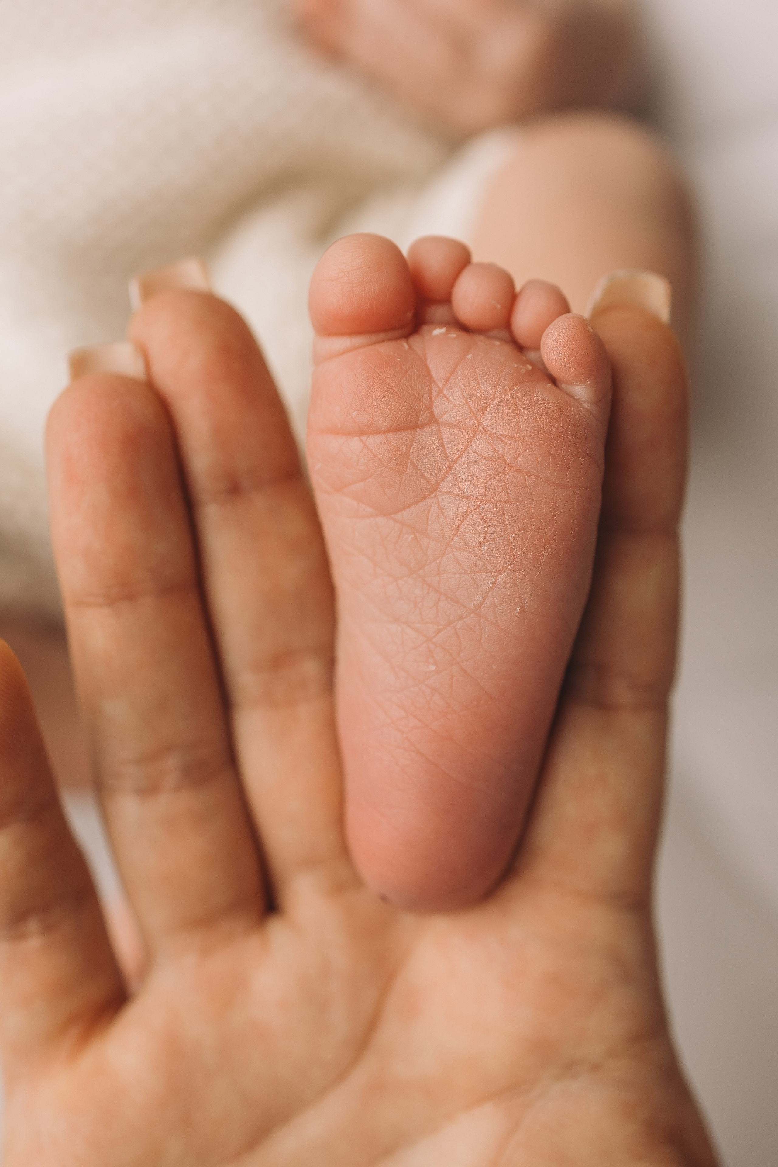 Лев 7 дней. Фотограф новорождённых Newborn Москва