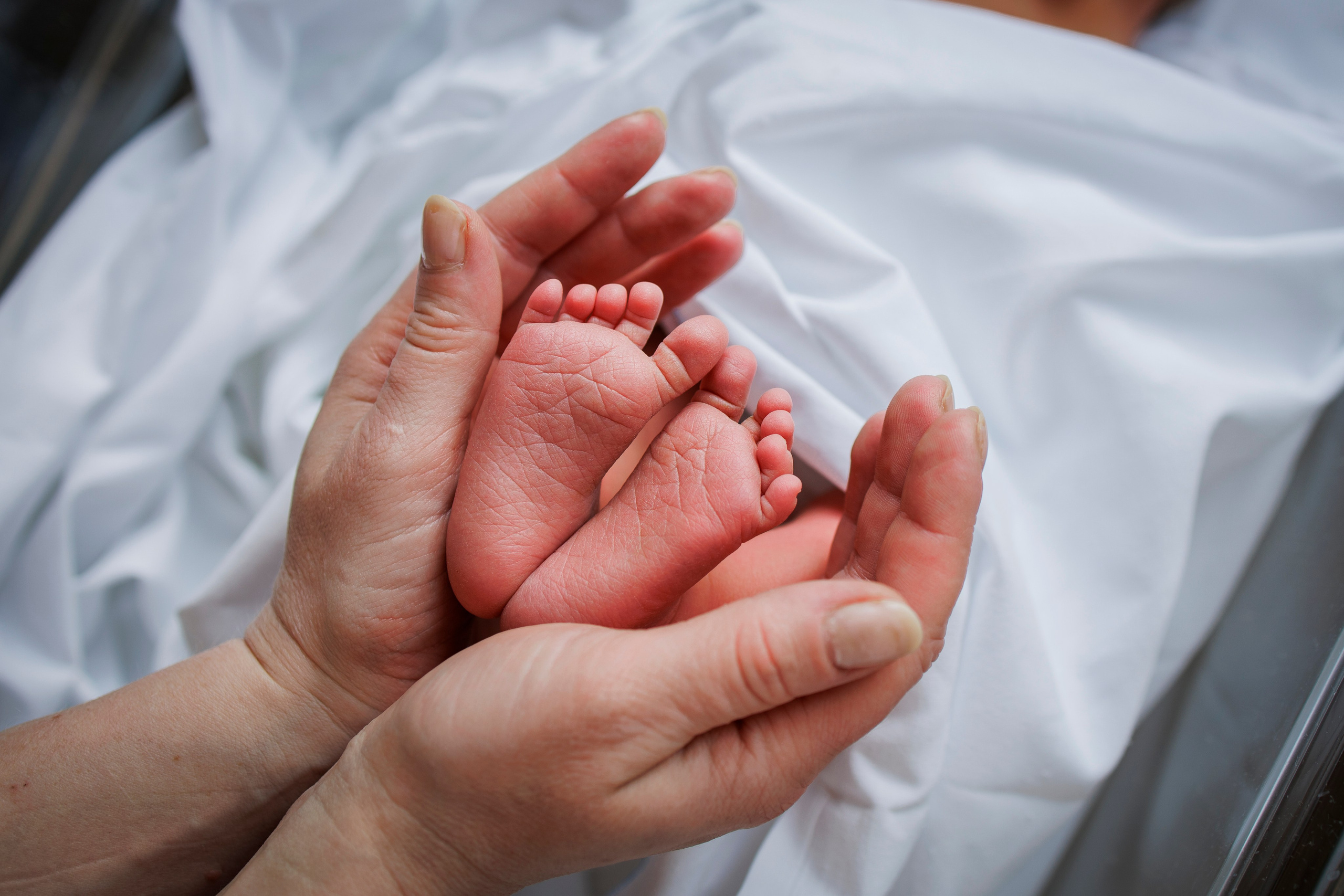 Фотограф на выписку