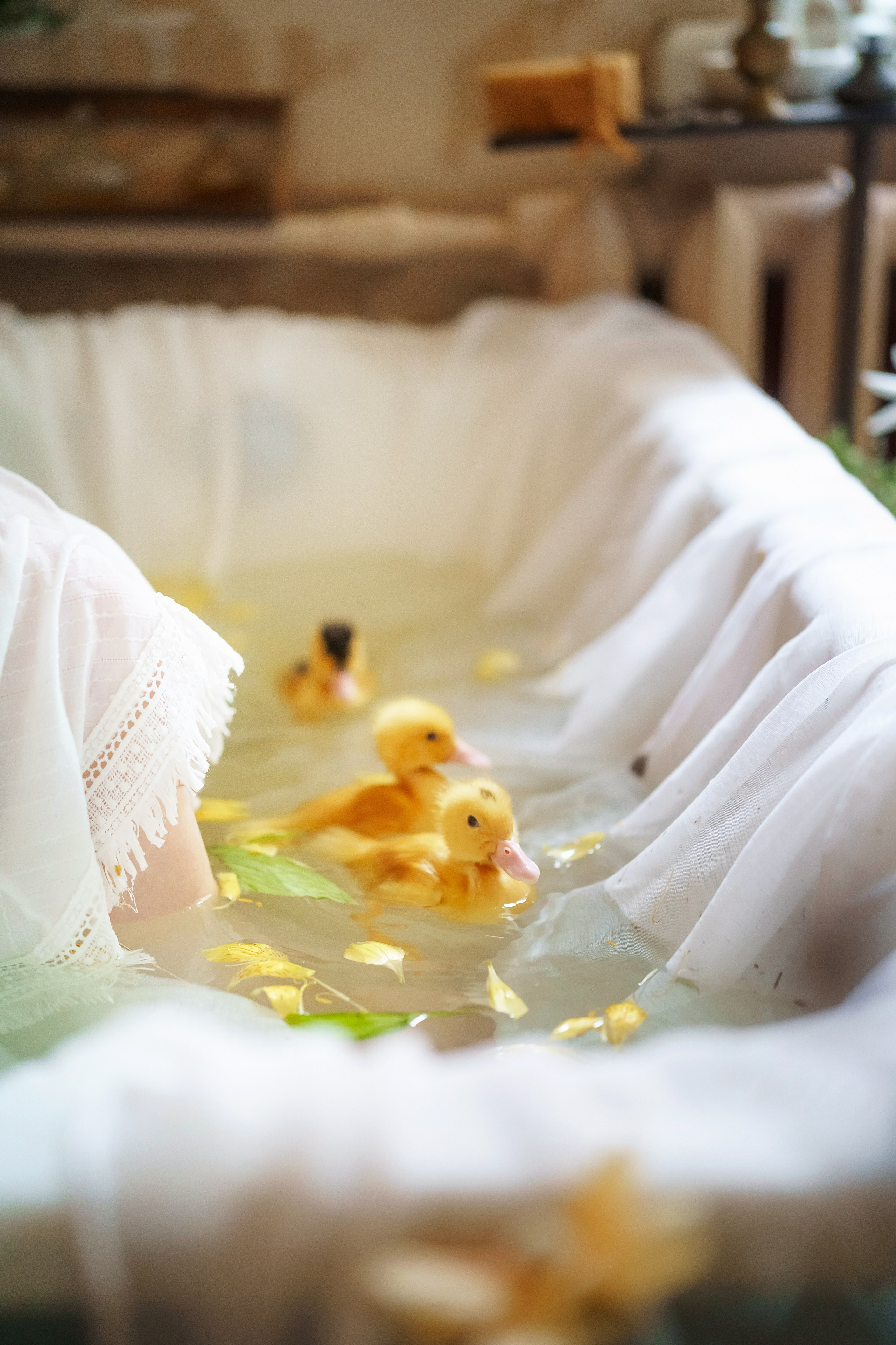 . Фотограф в Москве и Одинцово