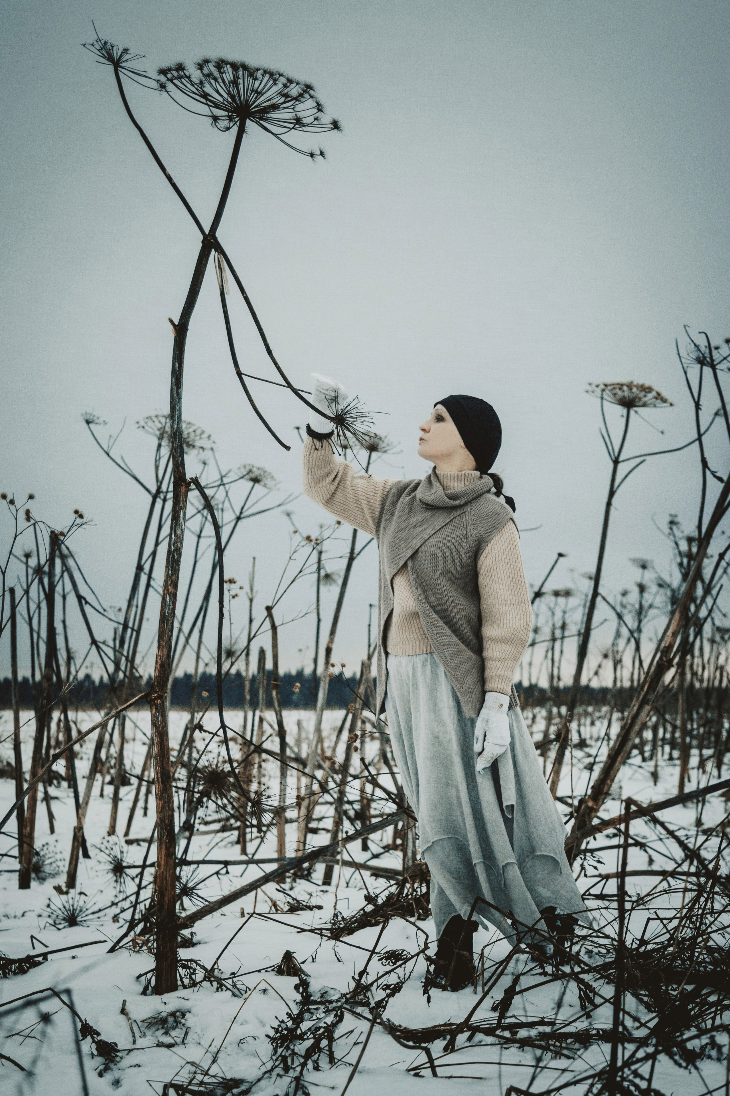 2024-11-23. Операция «Борщевик»