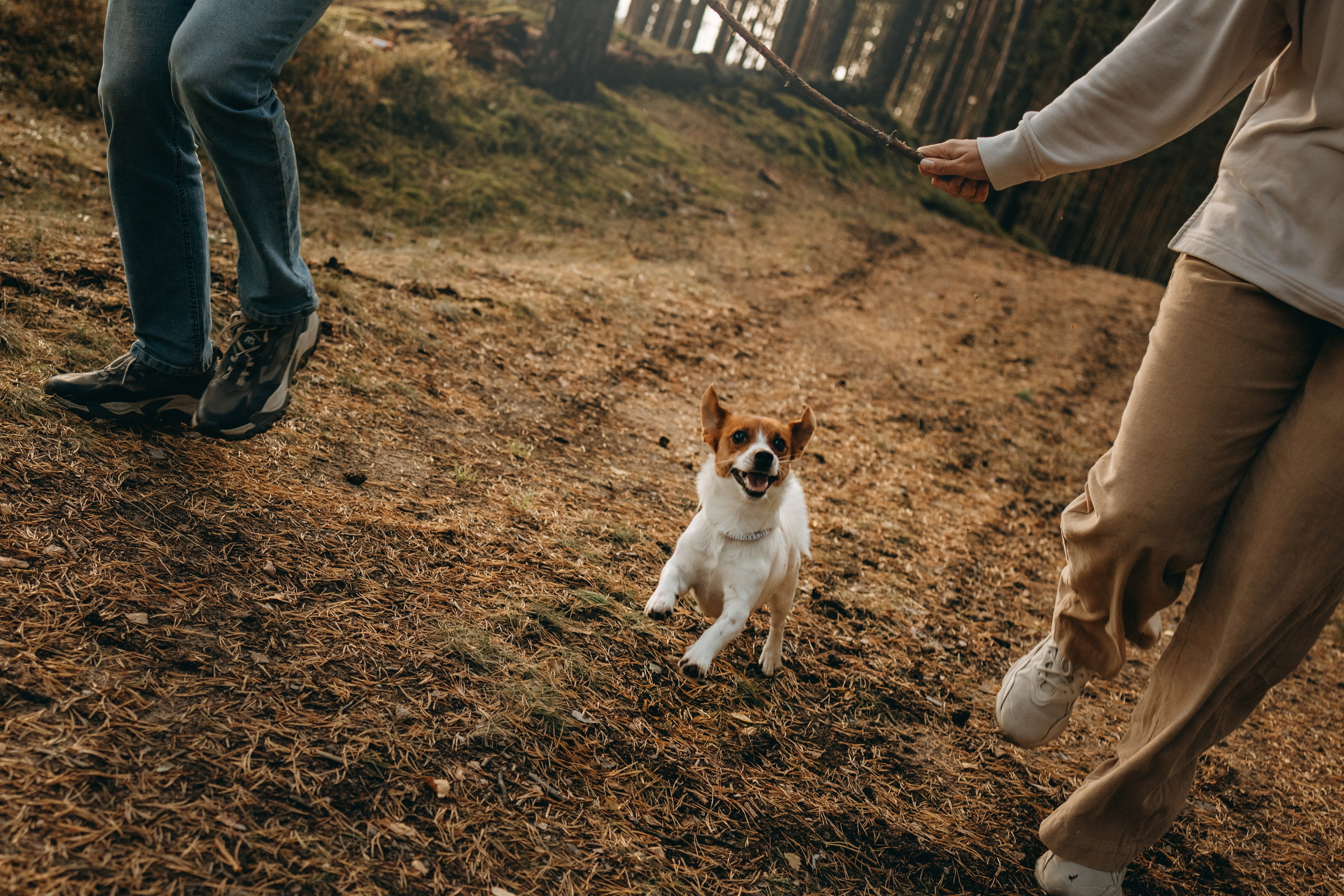 Лея и ее семья. Фотограф — Анималист | Санкт-Петербург