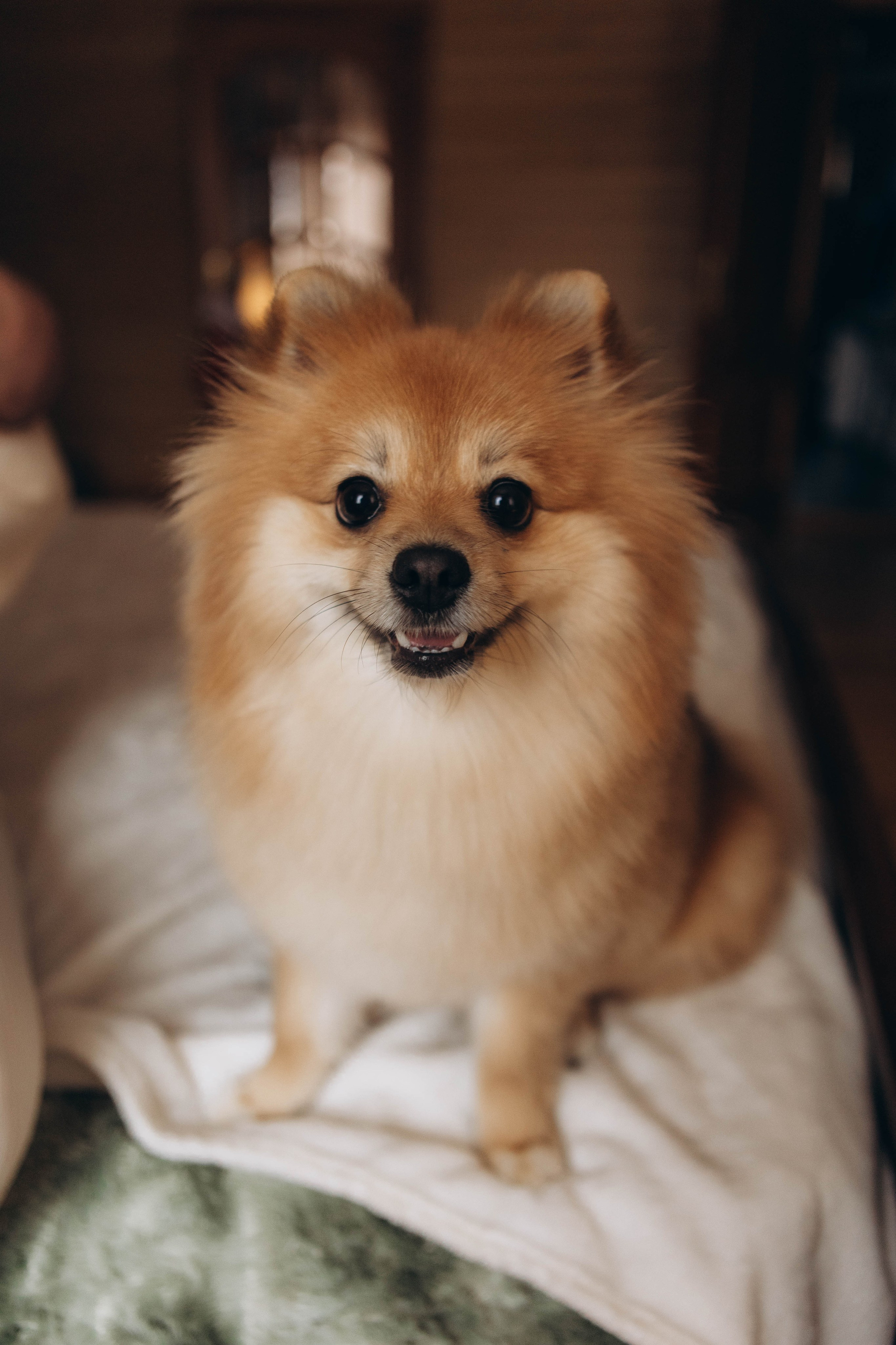 Илья. Наталья Косьянова. Ваш фотограф. Москва