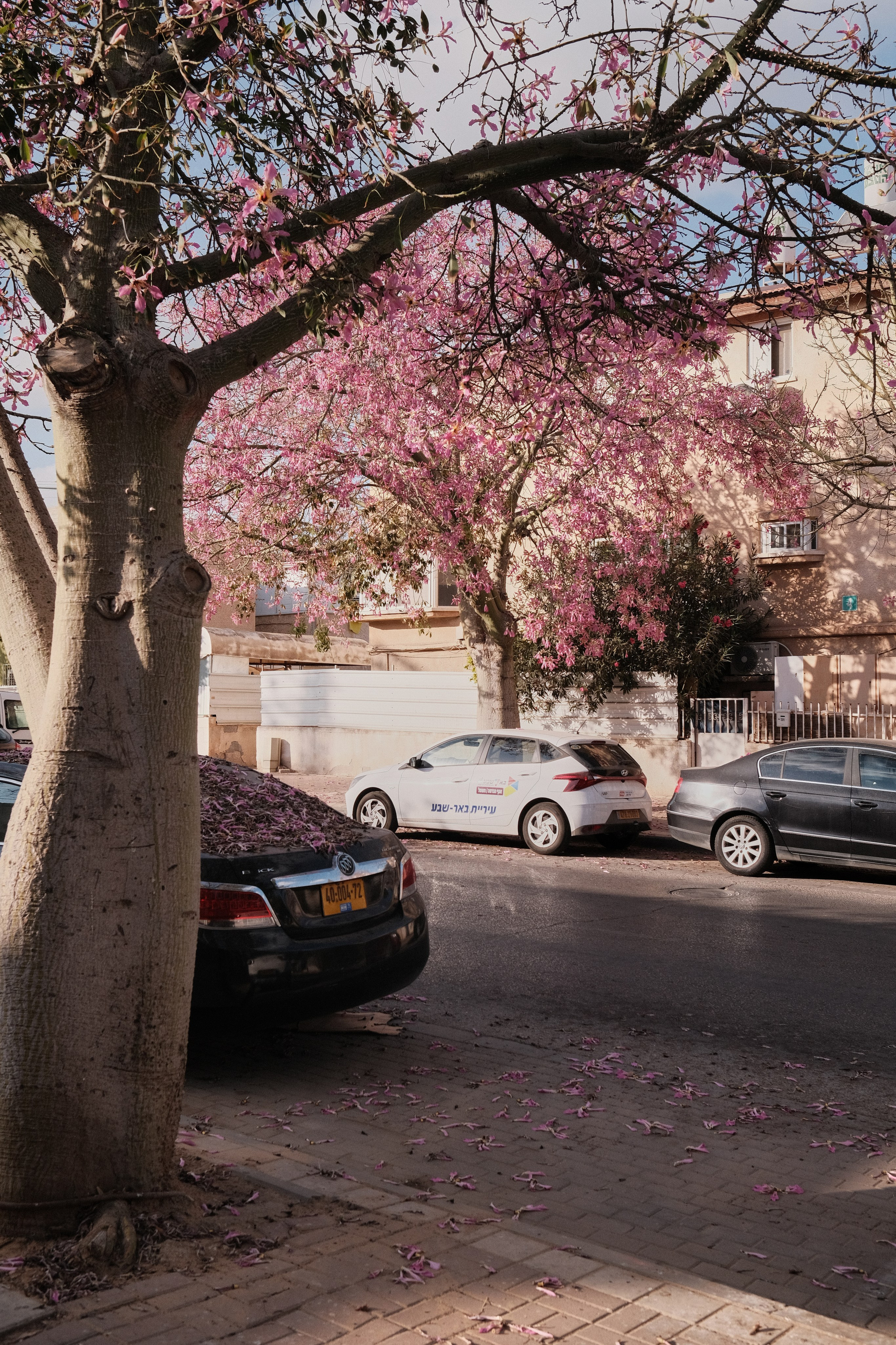 Фотографии Беер-Шевы | Филипп Линзин. Репортажный и портретный фотограф в Санкт-Петербурге Филипп Линзин