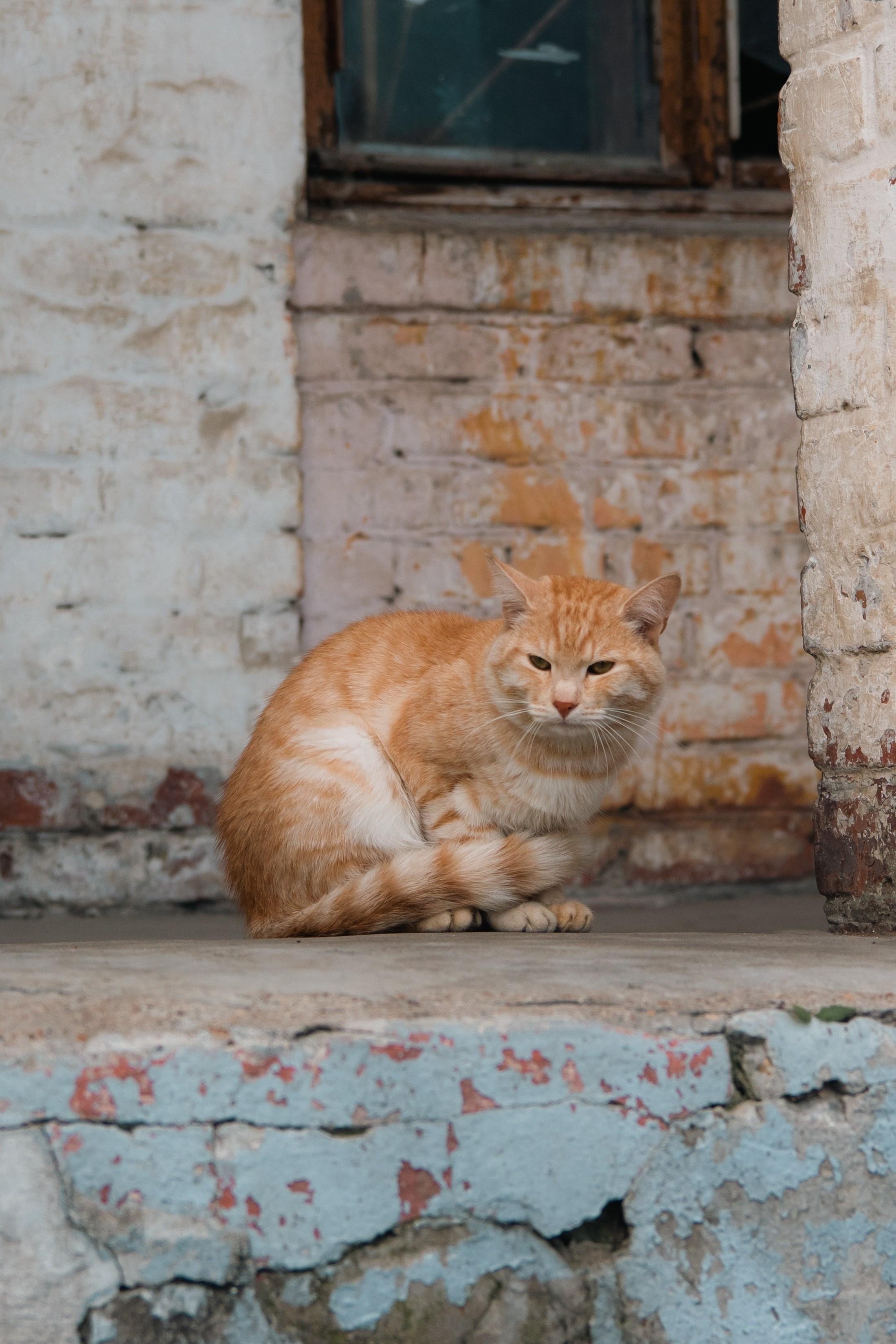 Фотосессия Ильфиды. Семейный, репортажный и портретный фотограф в Уфе. Сагманов Алмаз