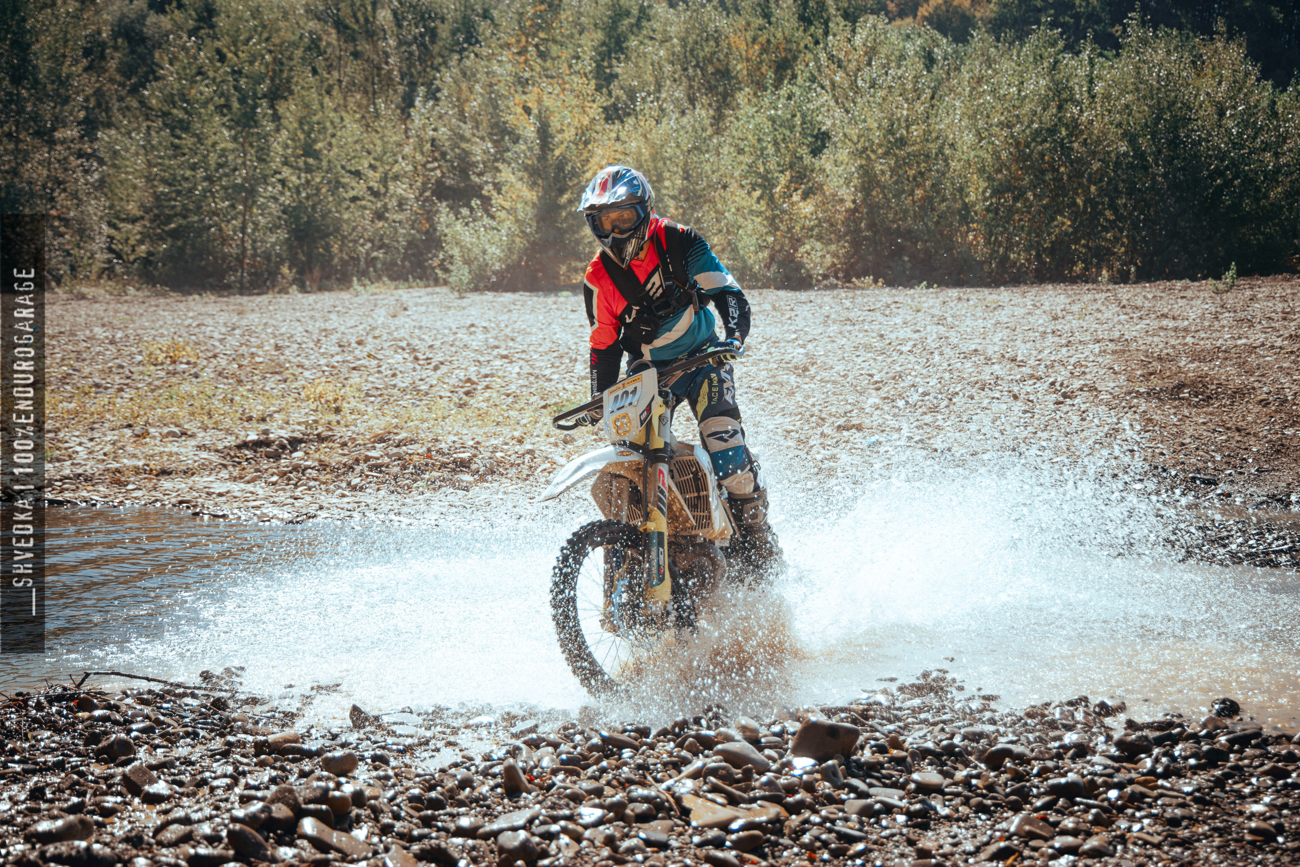 1 лесной день. Ваш экстрим фотограф Кудрева Яна