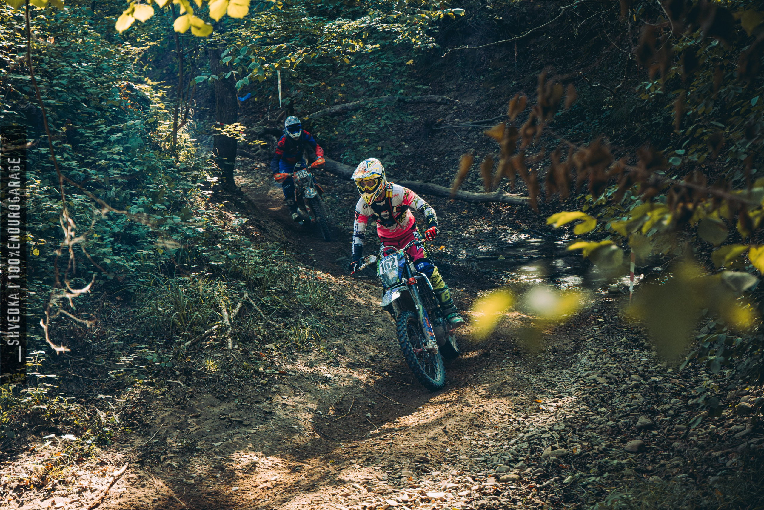 2 лесной день. Ваш экстрим фотограф Кудрева Яна