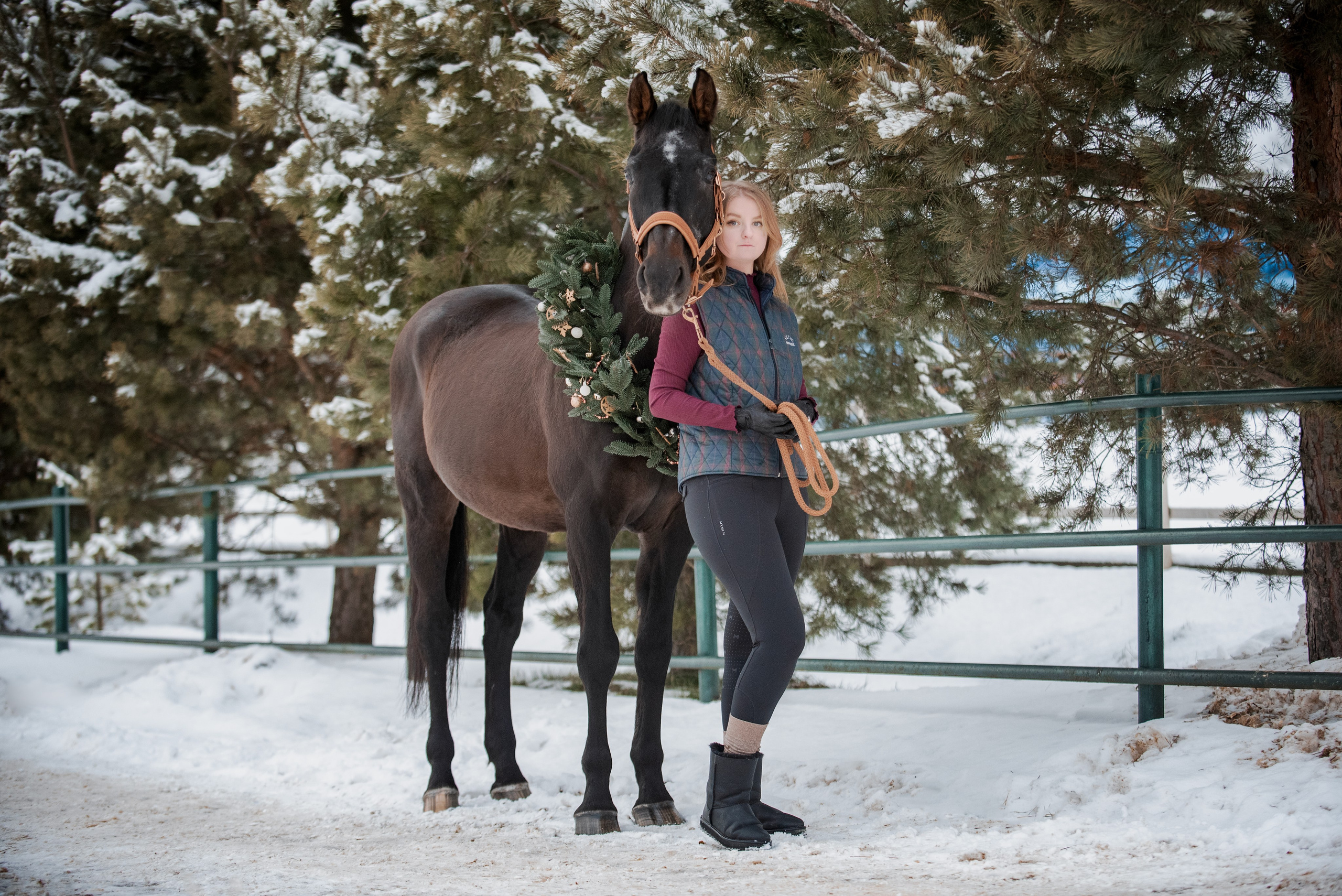 Зимний Настасьин табун. Куракина Дарья • Конный фотограф