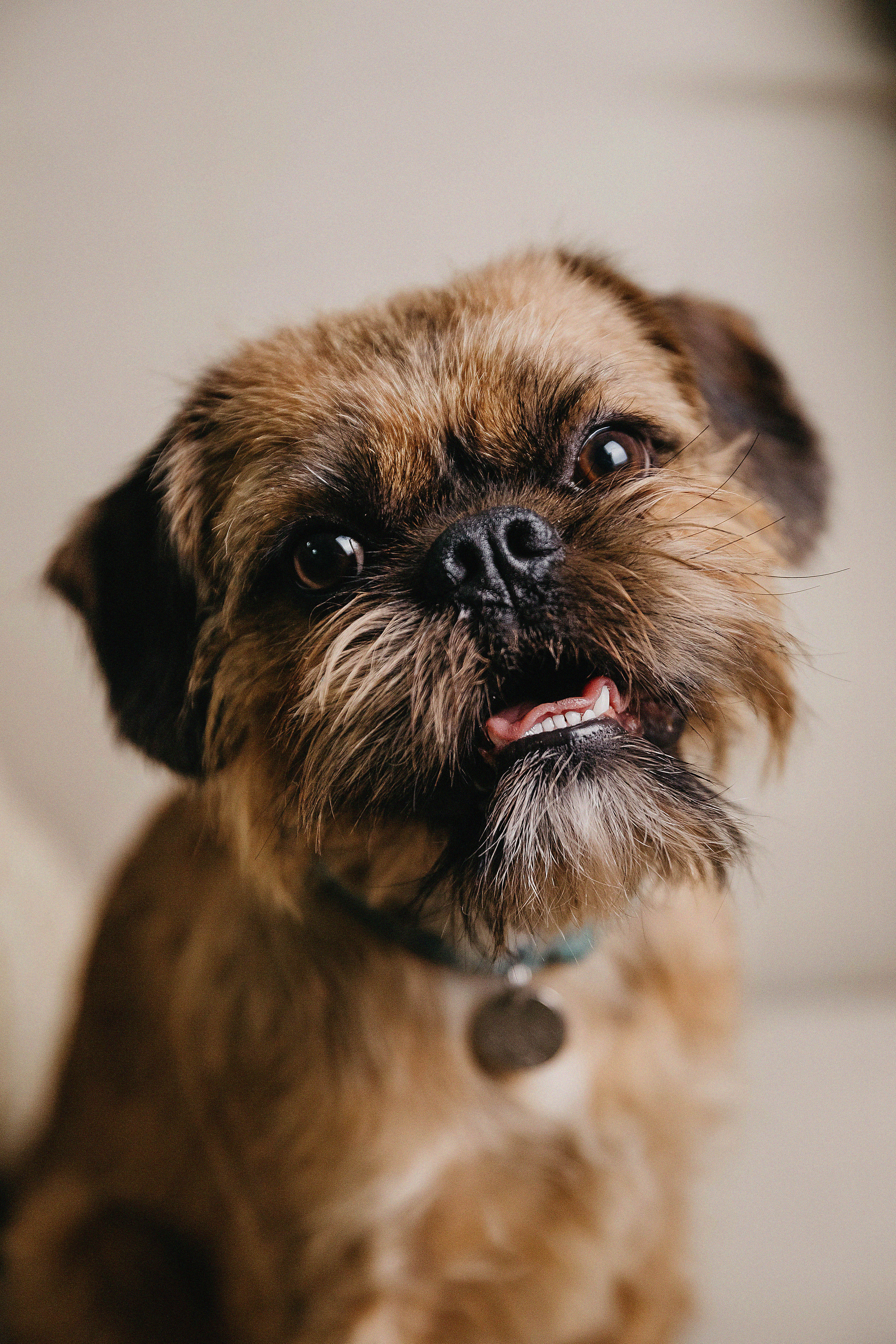 Фотосессия Надежды и Кузьмы в фотостудии Пространство. Свадебный, семейный и портретный фотограф в Алматы, Костанай