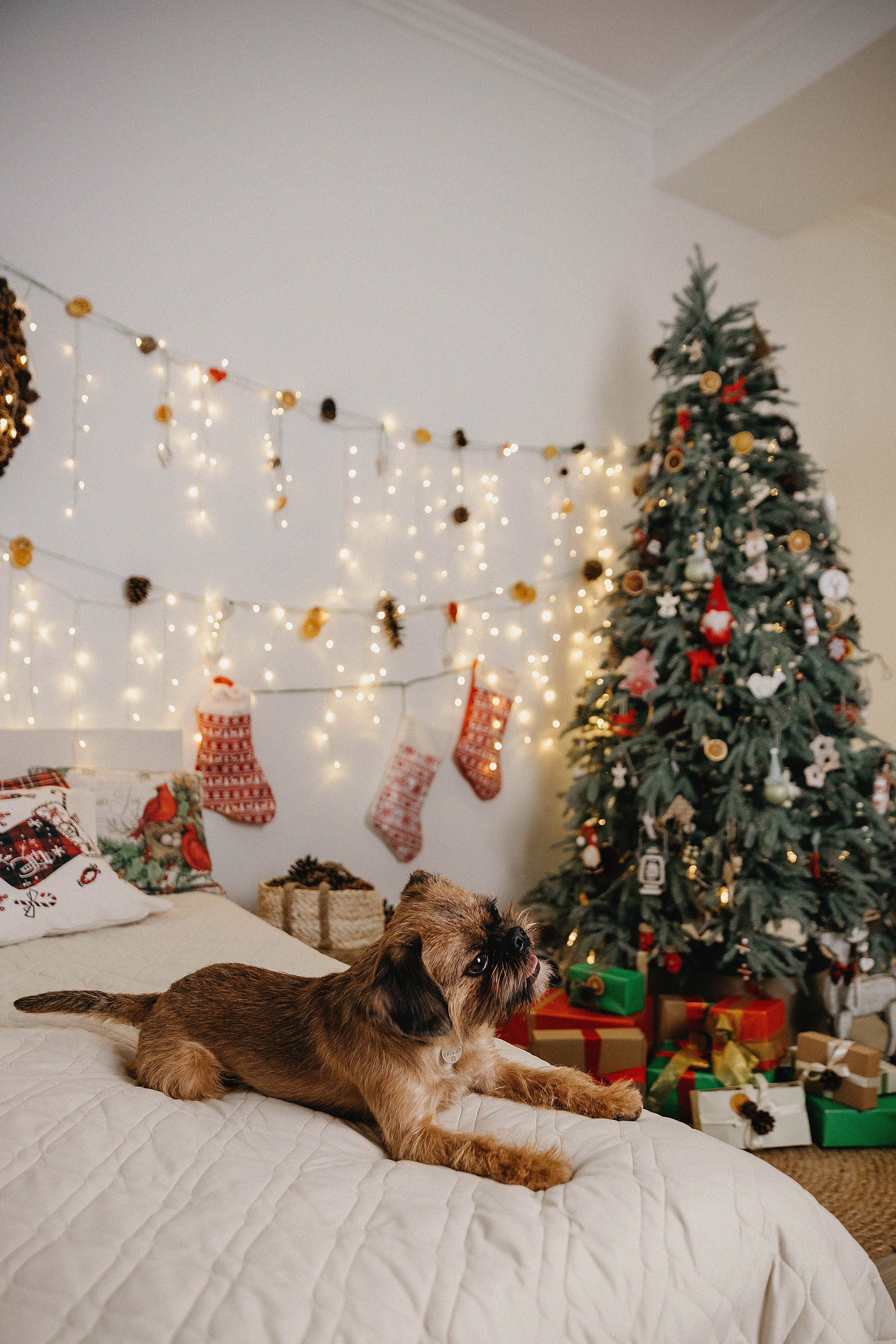 Фотосессия Надежды и Кузьмы в фотостудии Пространство. Свадебный, семейный и портретный фотограф в Алматы, Костанай