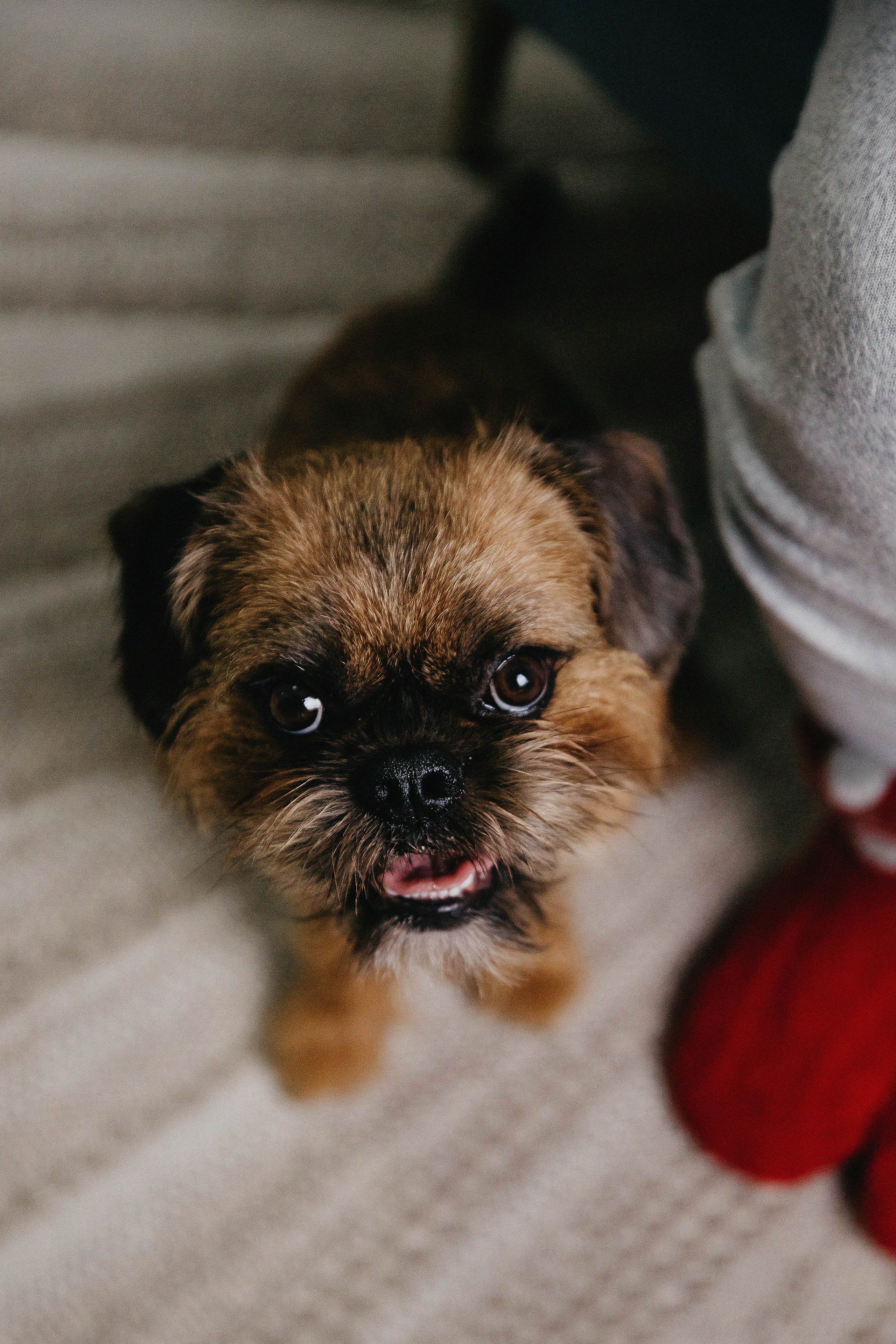 Фотосессия Надежды и Кузьмы в фотостудии Пространство. Свадебный, семейный и портретный фотограф в Алматы, Костанай