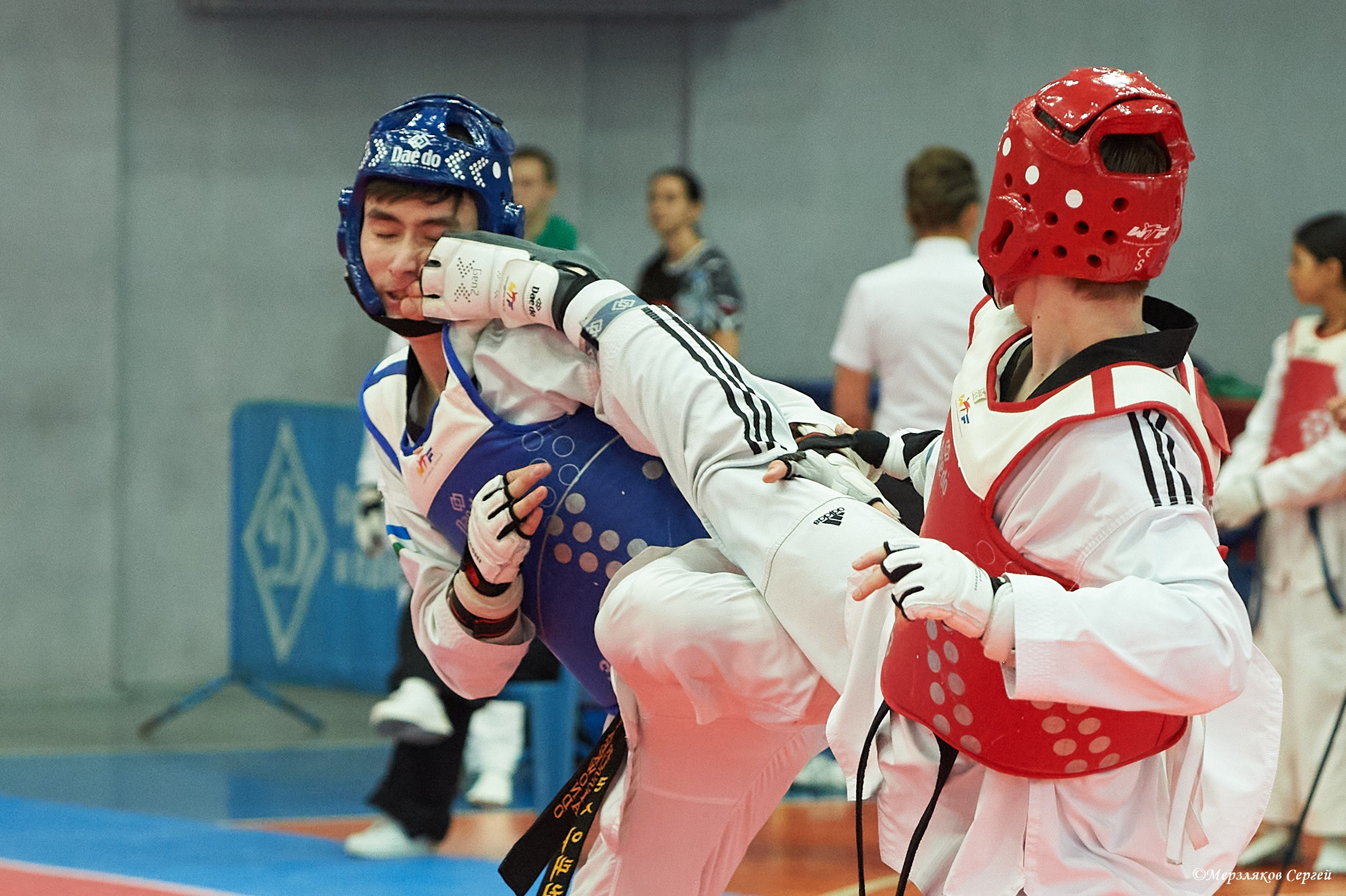 Тхэквондо. ПФО. Ижевск. 2023.02.12. Спортивный репортажный фотограф в Ижевске Сергей Мерзляков