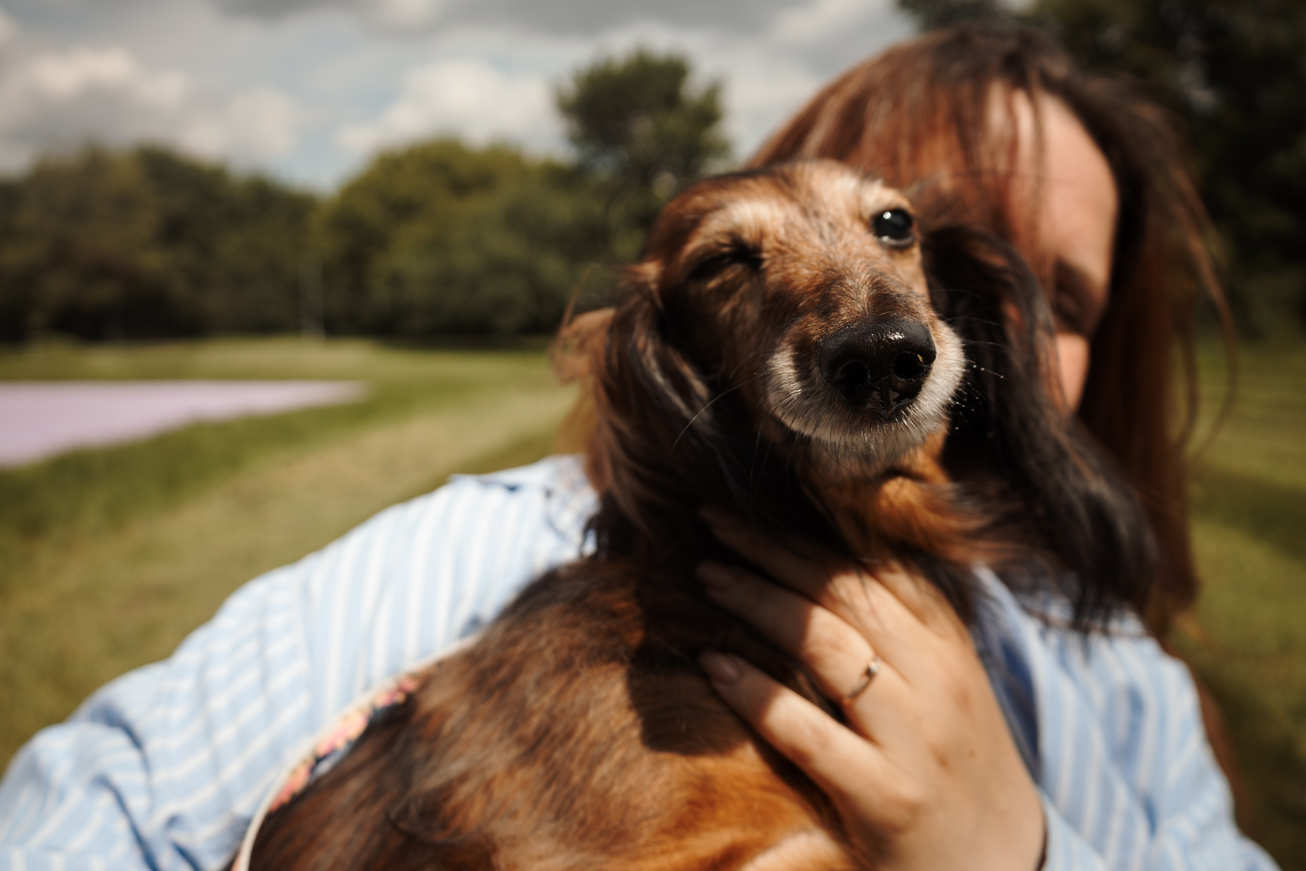Семейная фотосессия с собаками в парке. Фотограф-анималист в Москве Екатерина Тихонова