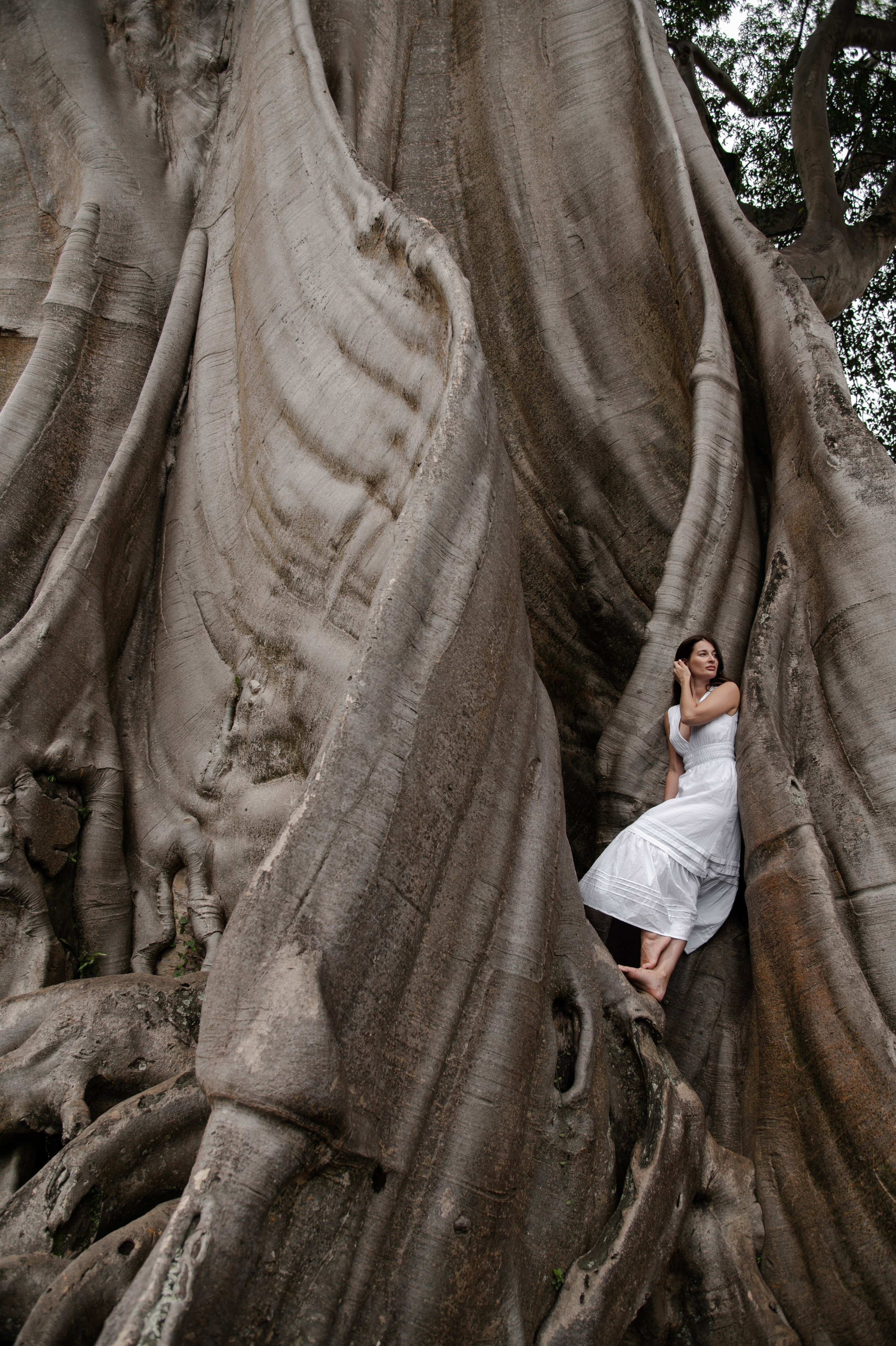 Bayan Tree. Свадебный фотограф в Ростове Максимов Максим