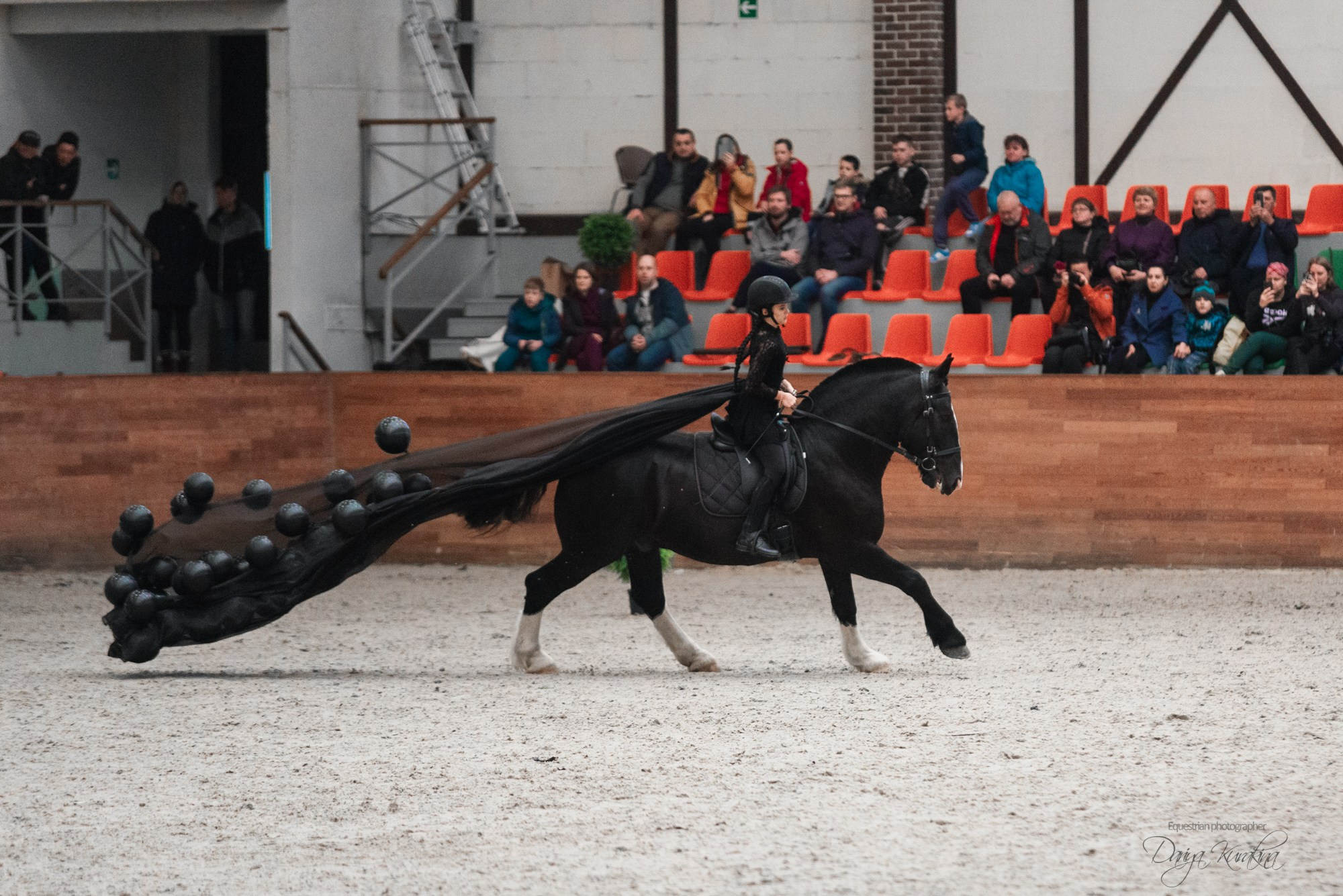 8-я международная выставка Конная Россия. Конный фотограф Куракина Дарья • Фотосессии с лошадьми