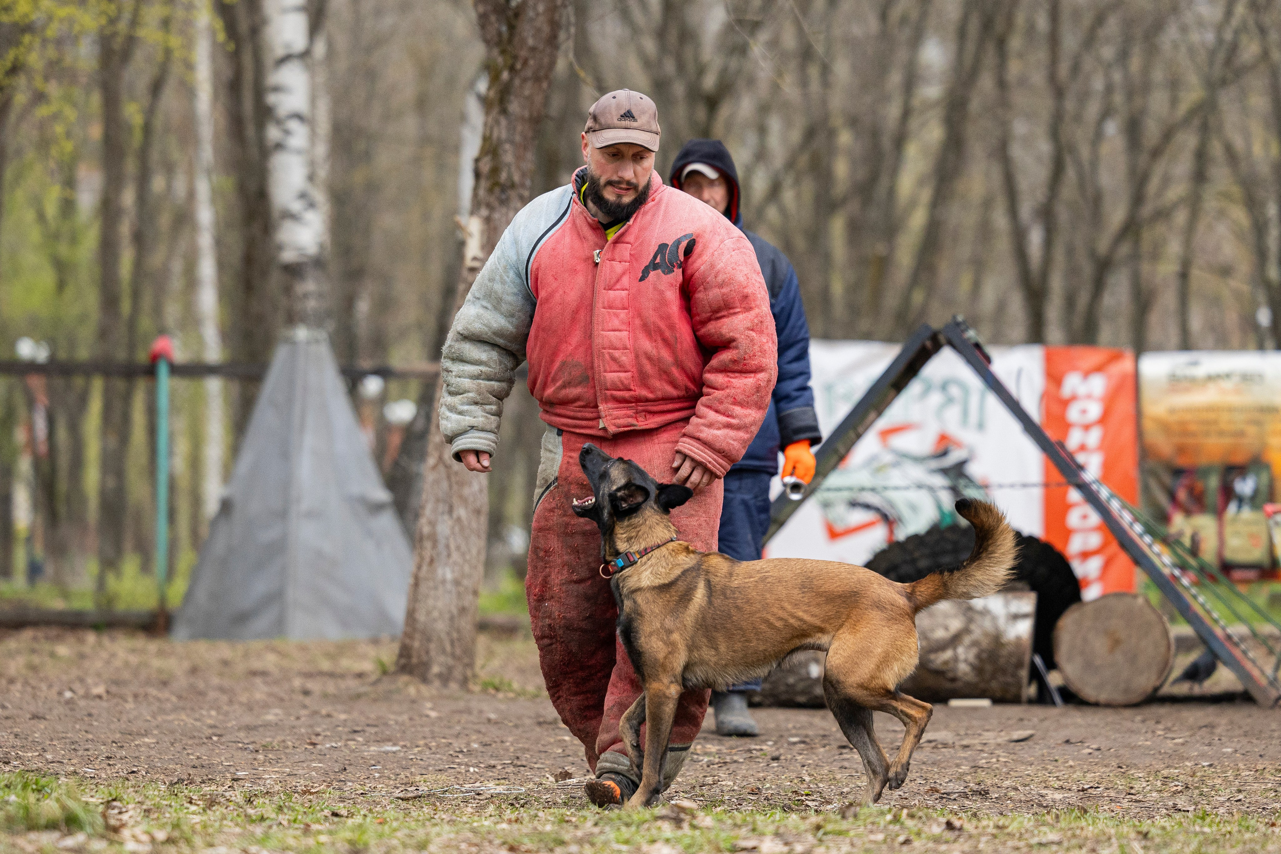 Квалификационные состязания по мондьорингу г. Вологда 11.05.24. Фотограф-анималист Анна Маринич