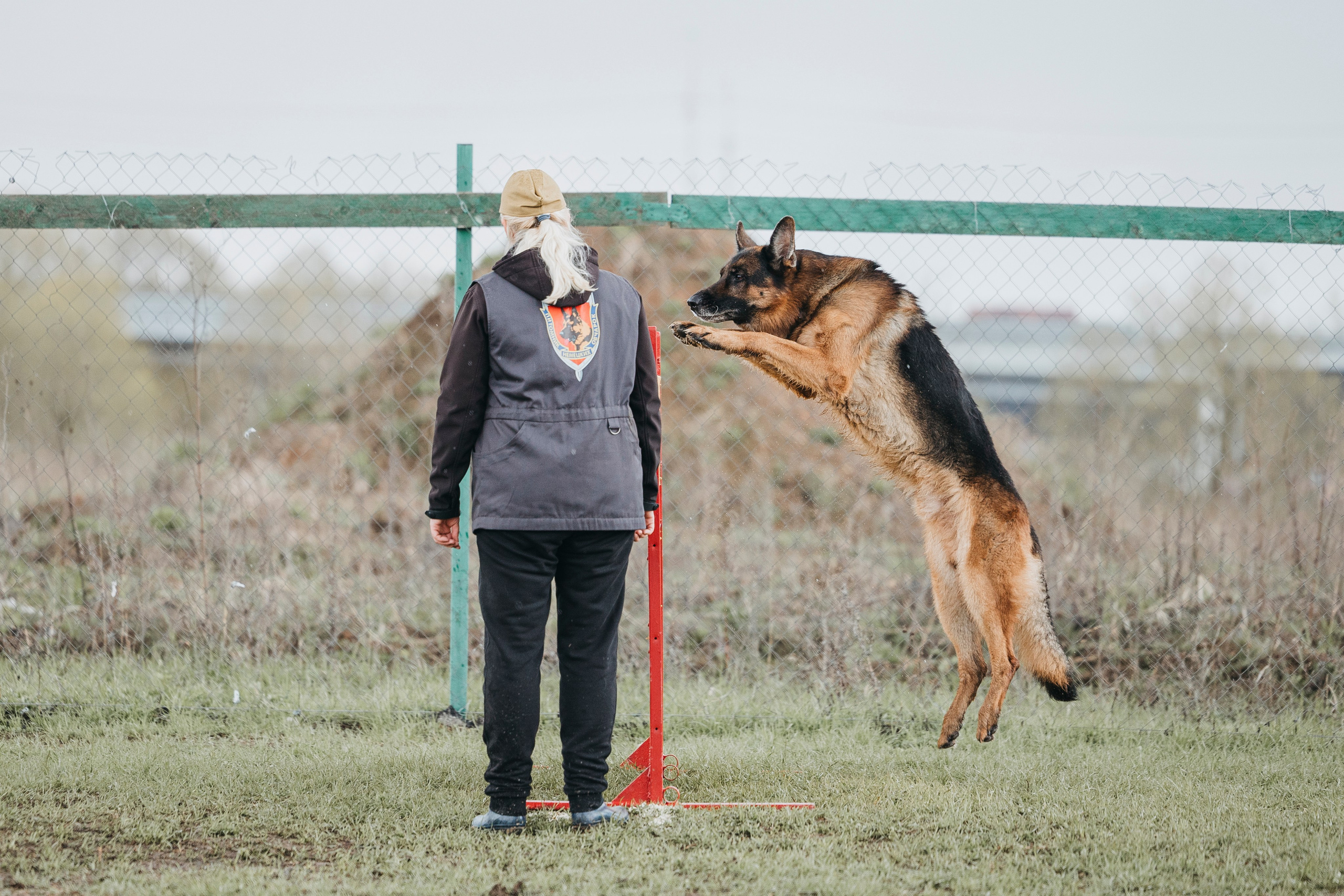 09.05.25 Вологда соревнования. Фотограф-анималист Анна Маринич