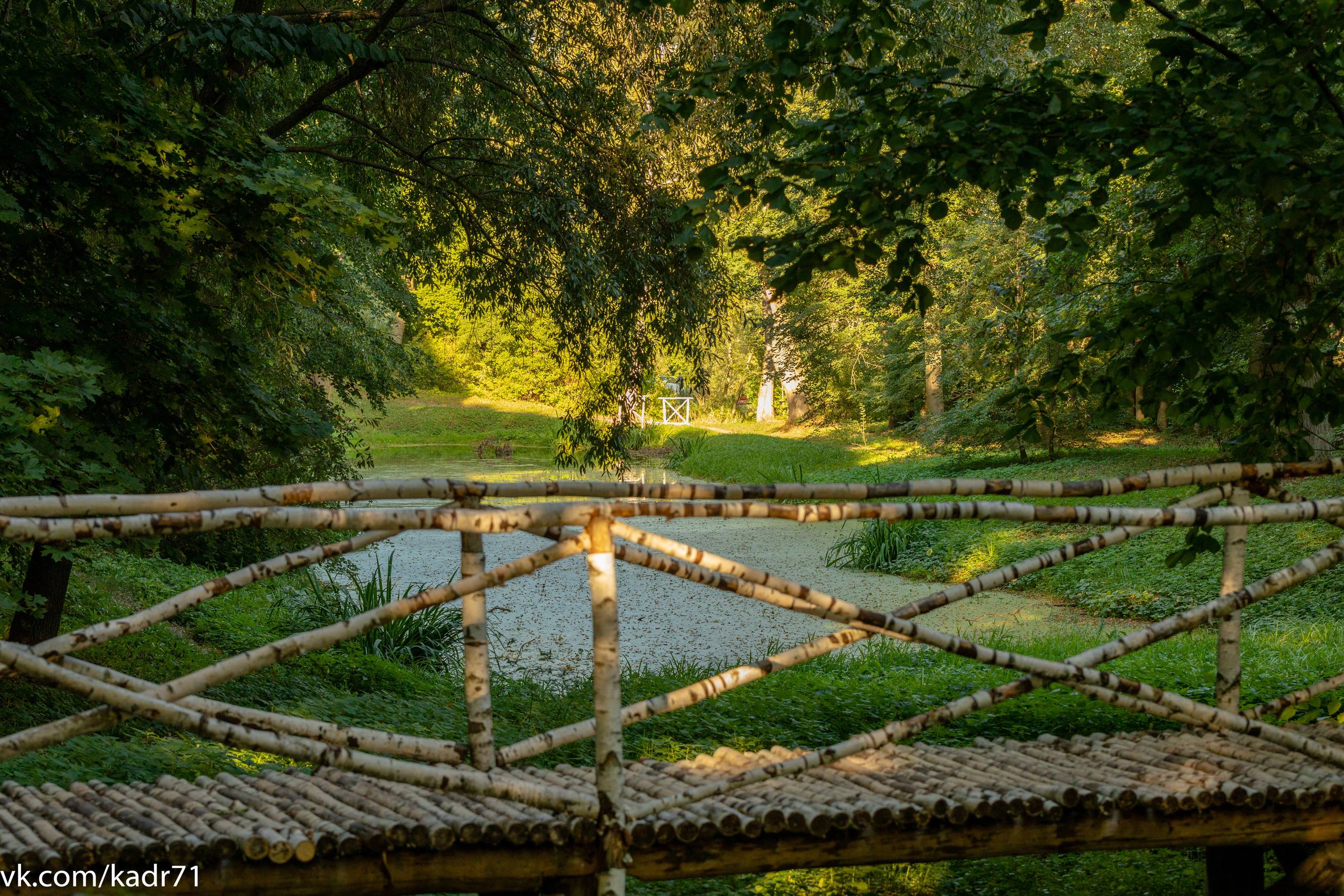 Усадьба Л. Н. Толстого «Ясная Поляна» летом. Фотограф в Туле Крупский АнДРей. Фотостудия «КАДР71» в Туле