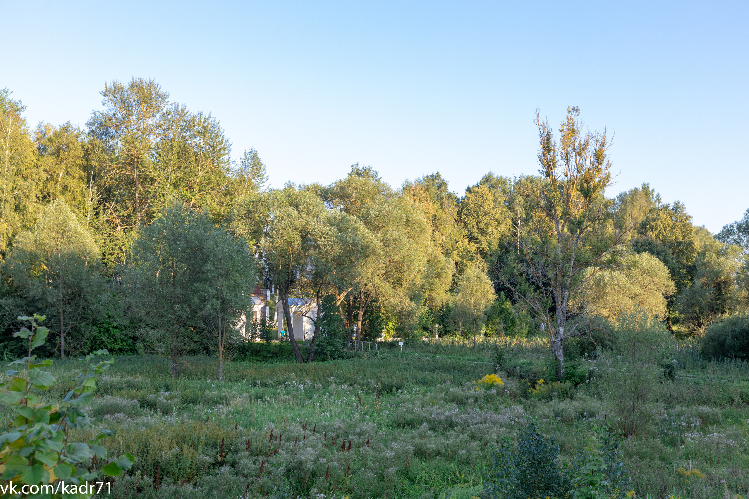 Усадьба Л. Н. Толстого «Ясная Поляна» летом. Фотограф в Туле Крупский АнДРей. Фотостудия «КАДР71» в Туле