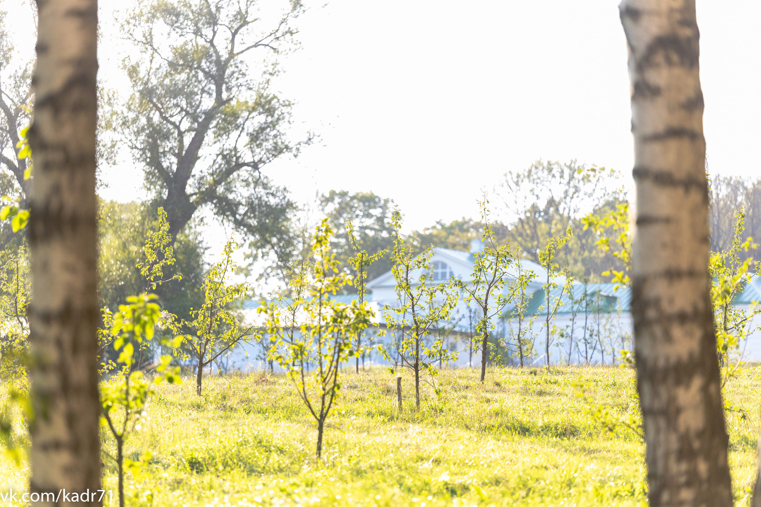 Усадьба Л. Н. Толстого «Ясная Поляна» летом. Фотограф в Туле Крупский АнДРей. Фотостудия «КАДР71» в Туле