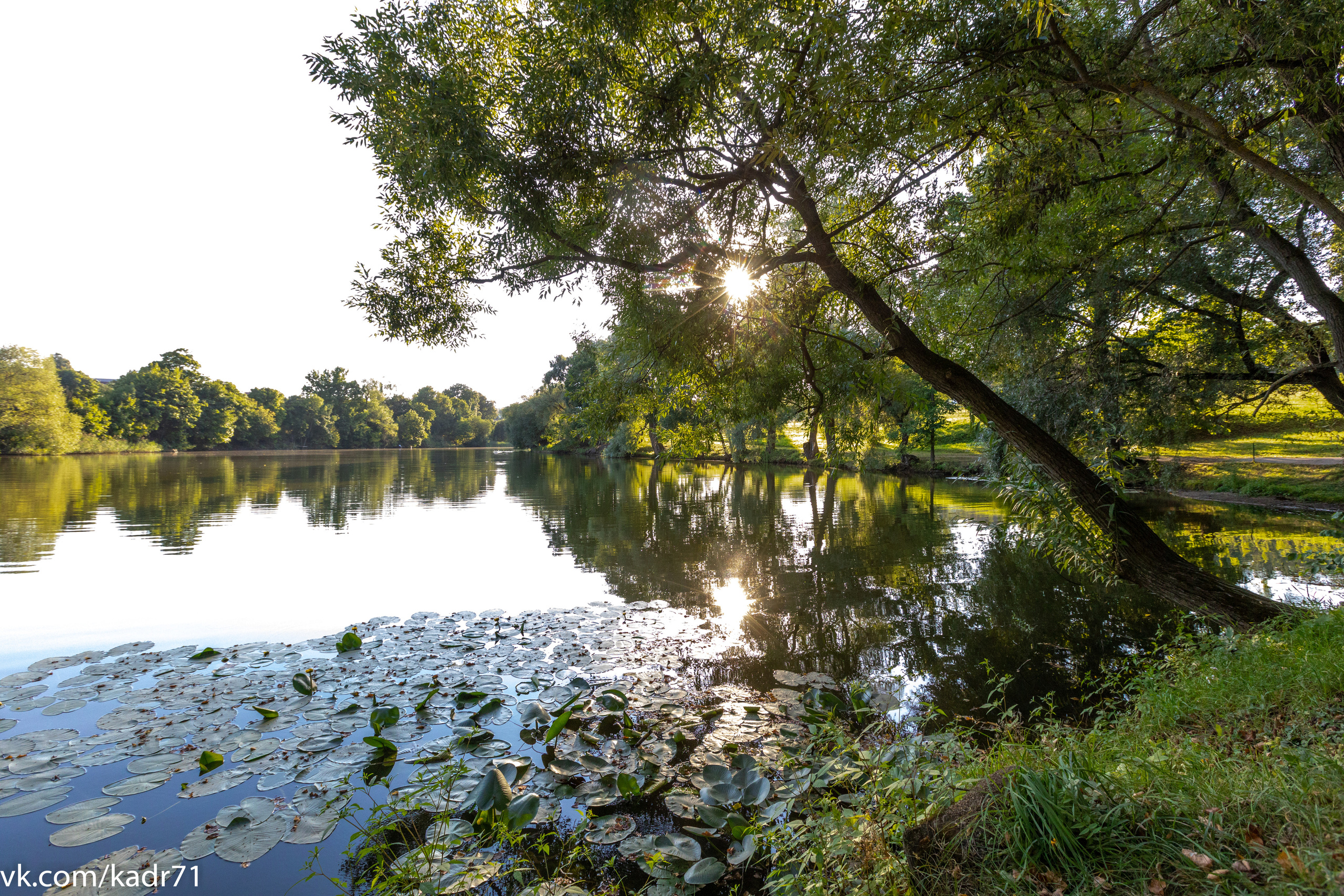 Усадьба Л. Н. Толстого «Ясная Поляна» летом. Фотограф в Туле Крупский АнДРей. Фотостудия «КАДР71» в Туле