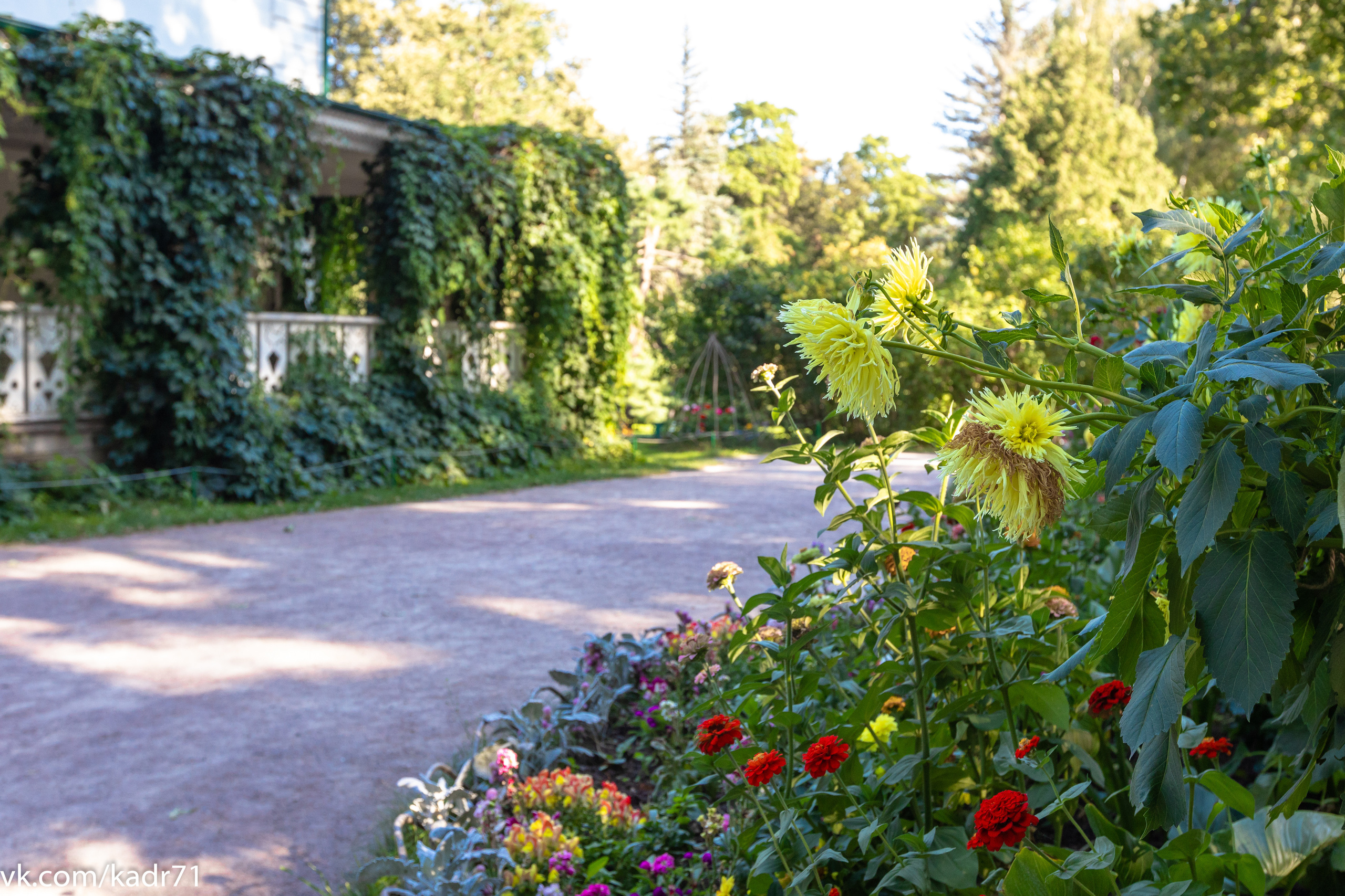Усадьба Л. Н. Толстого «Ясная Поляна» летом. Фотограф в Туле Крупский АнДРей. Фотостудия «КАДР71» в Туле