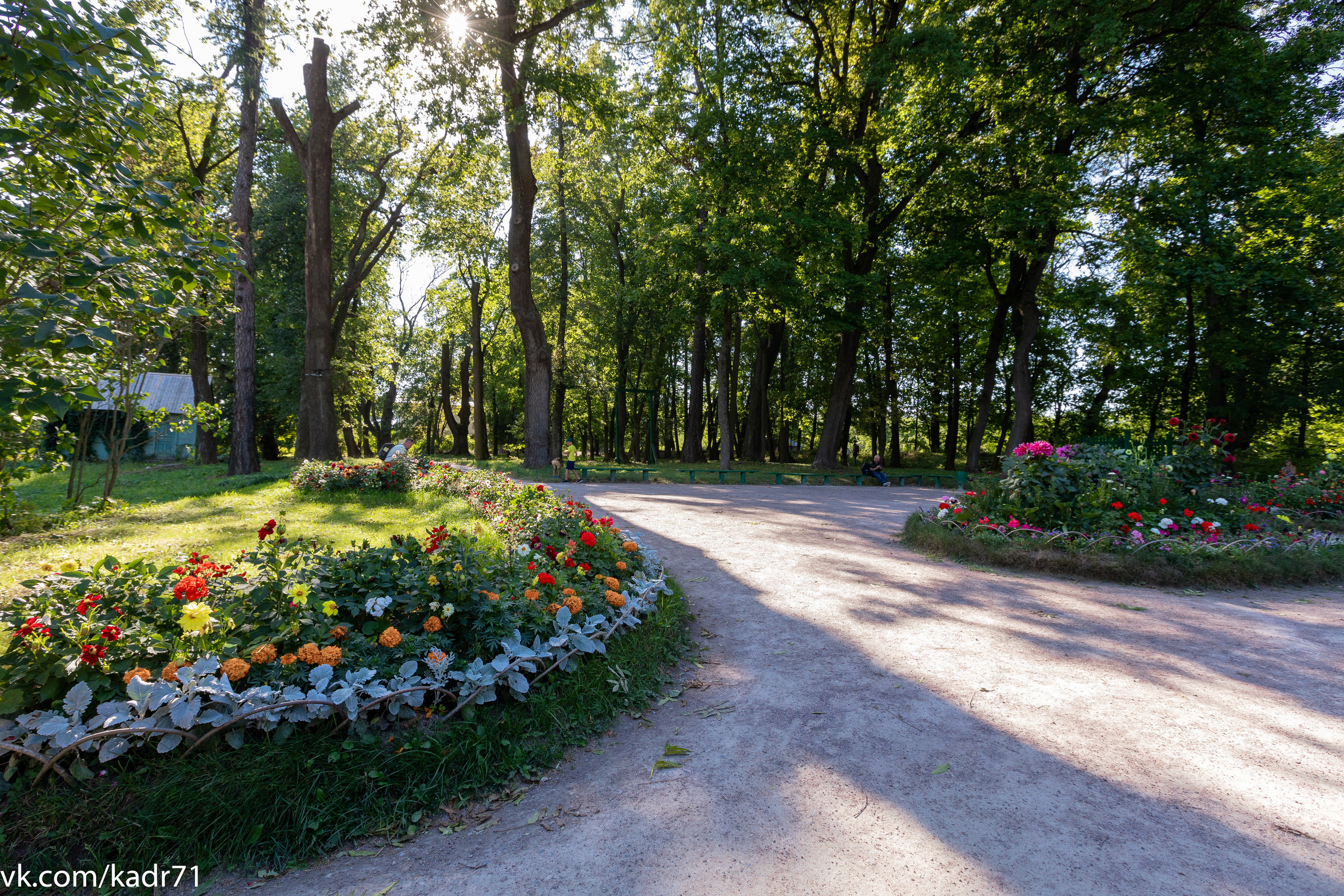 Усадьба Л. Н. Толстого «Ясная Поляна» летом. Фотограф в Туле Крупский АнДРей. Фотостудия «КАДР71» в Туле