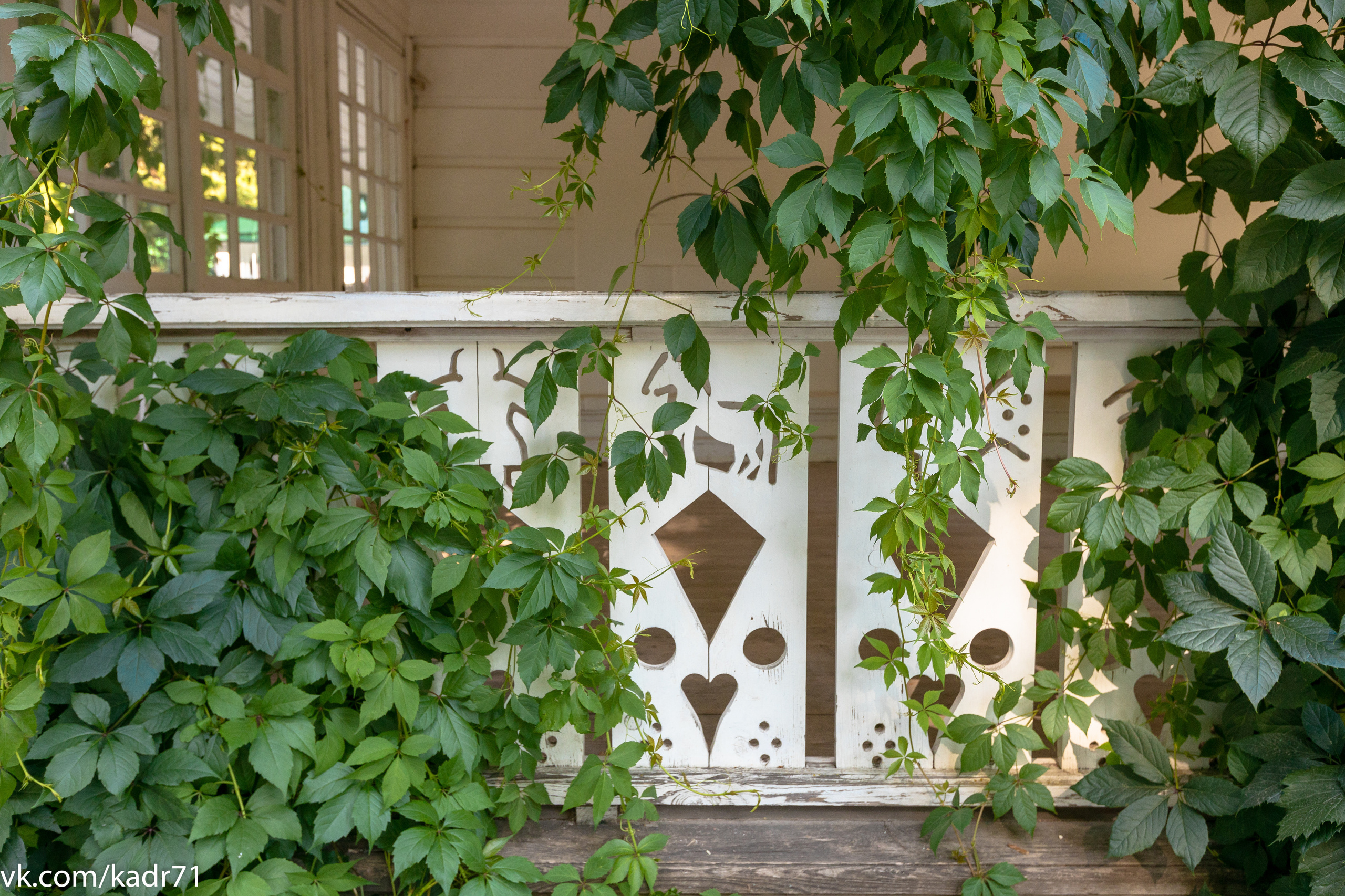 Усадьба Л. Н. Толстого «Ясная Поляна» летом. Фотограф в Туле Крупский АнДРей. Фотостудия «КАДР71» в Туле