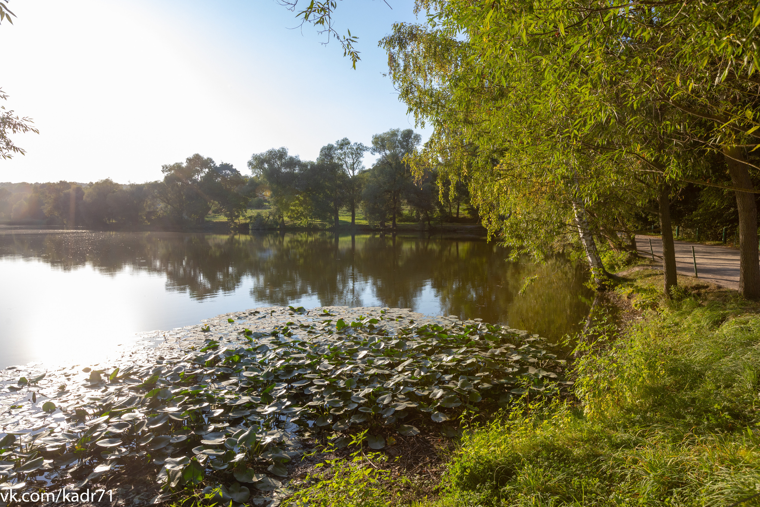 Усадьба Л. Н. Толстого «Ясная Поляна» летом. Фотограф в Туле Крупский АнДРей. Фотостудия «КАДР71» в Туле